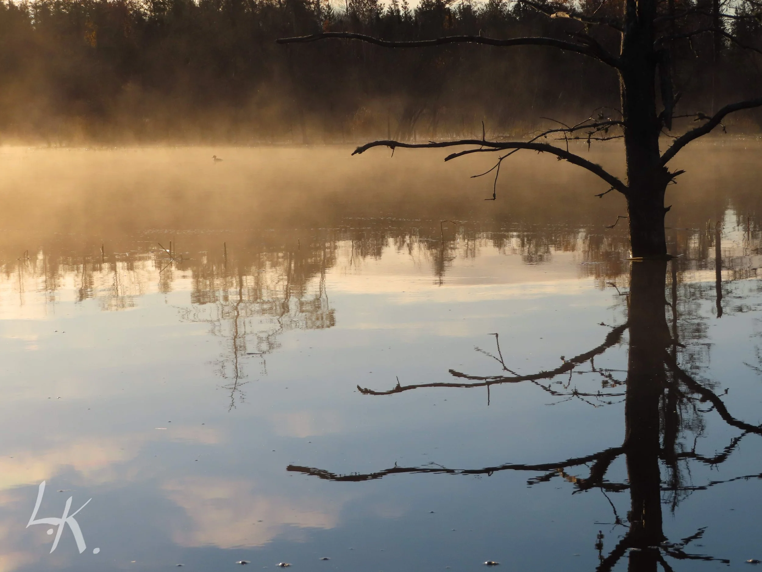A Sheet of Glass.jpg