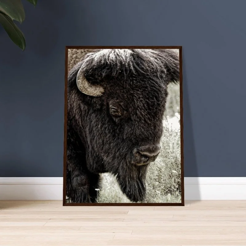 Rugged Spirit: A North American Bison Matte Paper Wooden Framed Poster