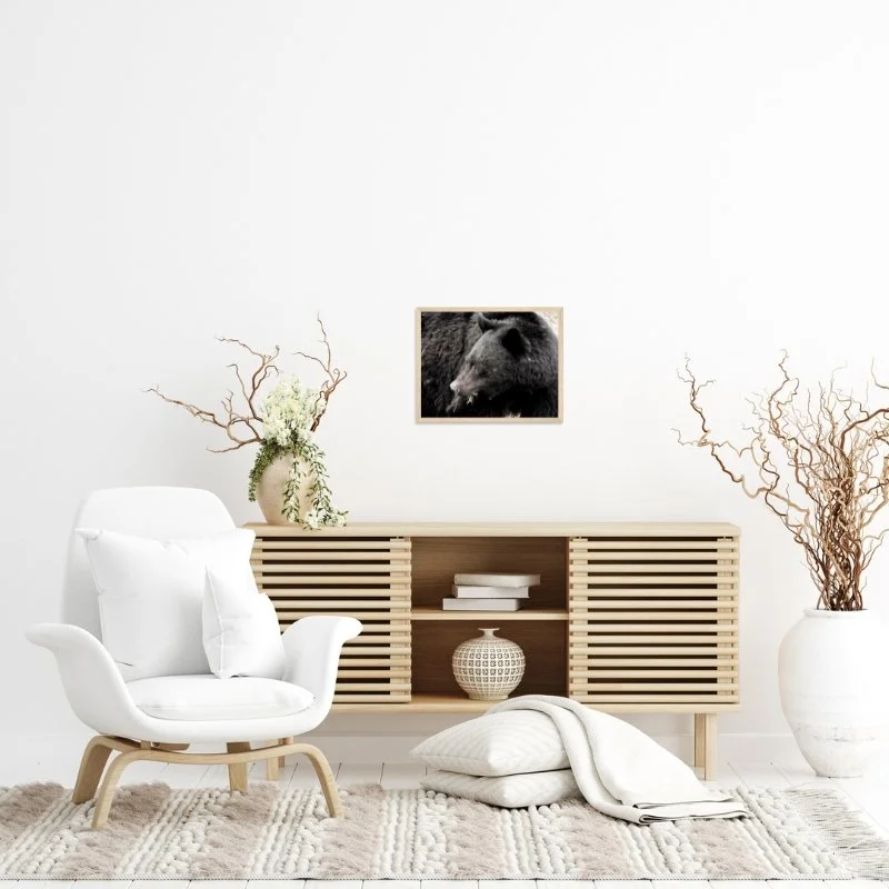 12x16 Light Brown.jpg