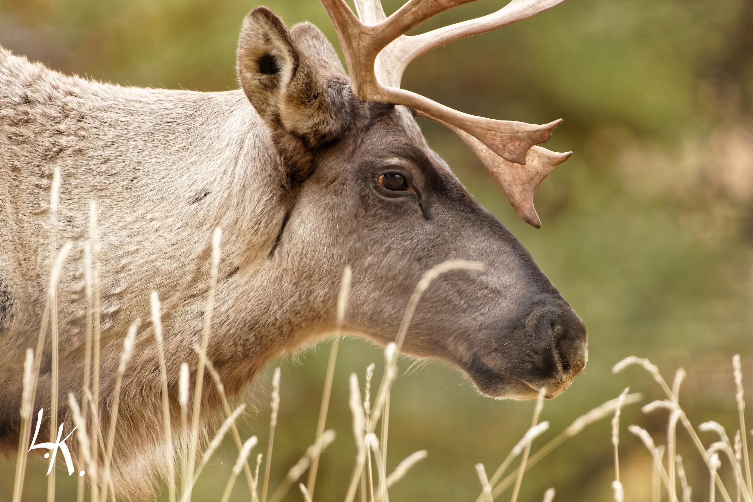 IMG_8691-CR2_DxO_DeepPRIME_DxO copy_DxO.jpg