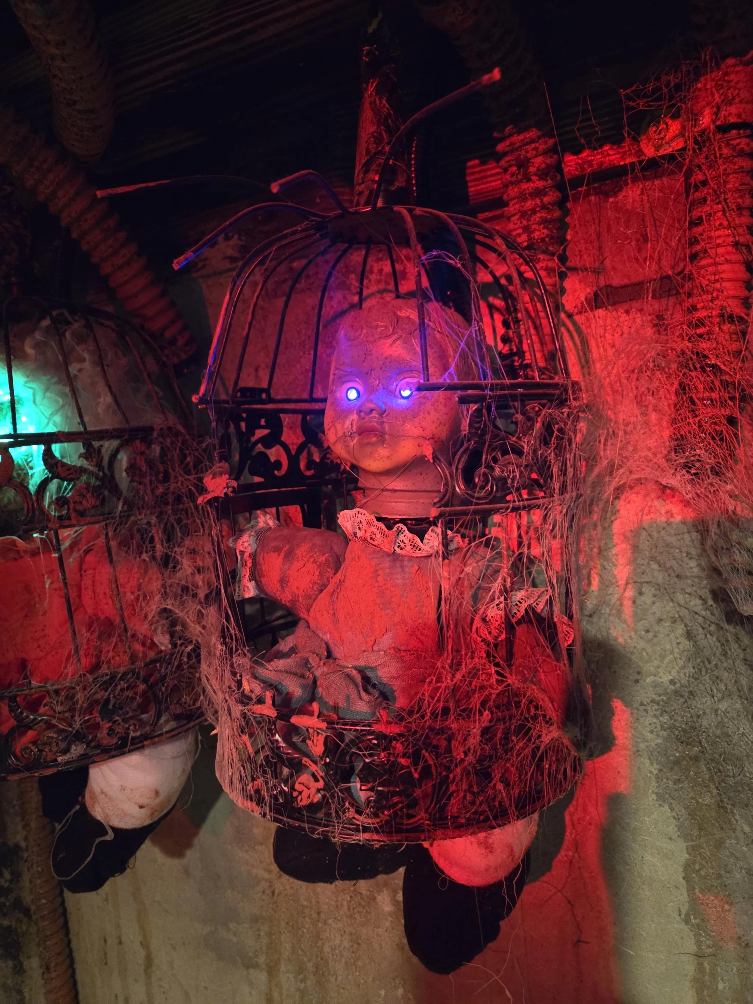 turnkey escape rooms for sale