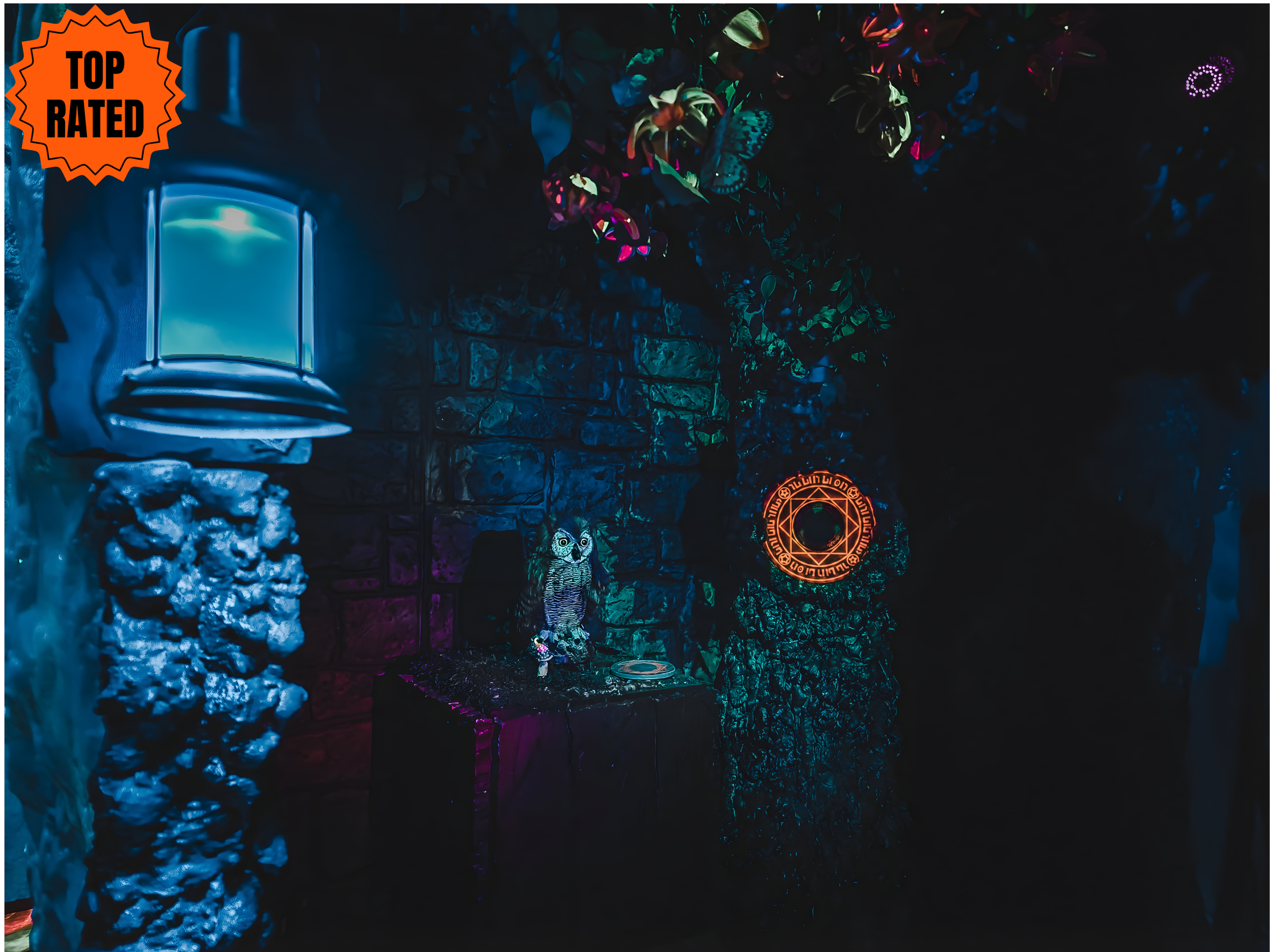 Fantasy magic escape room for sale