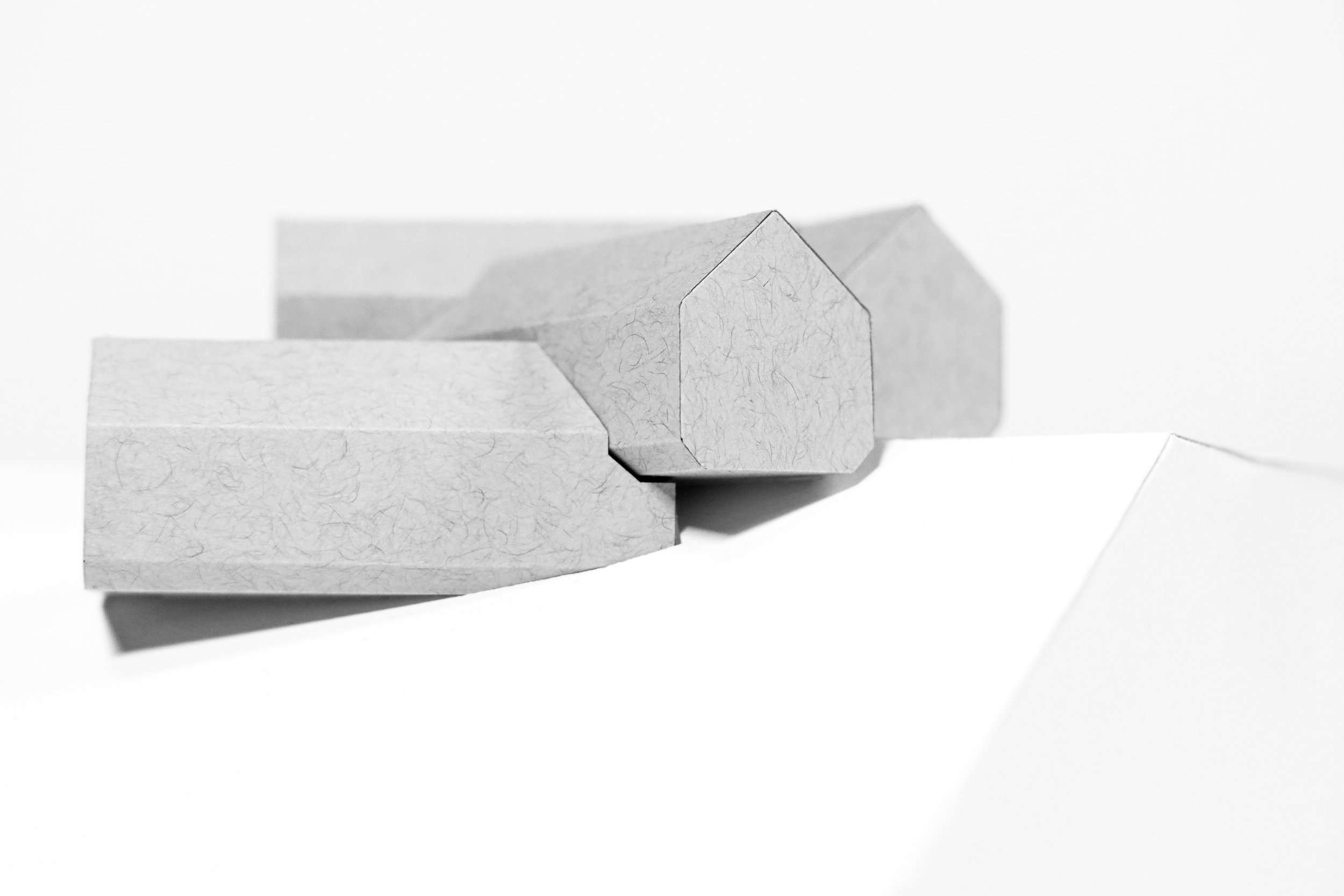 STUDY MODEL, MING-HUEI FISHER