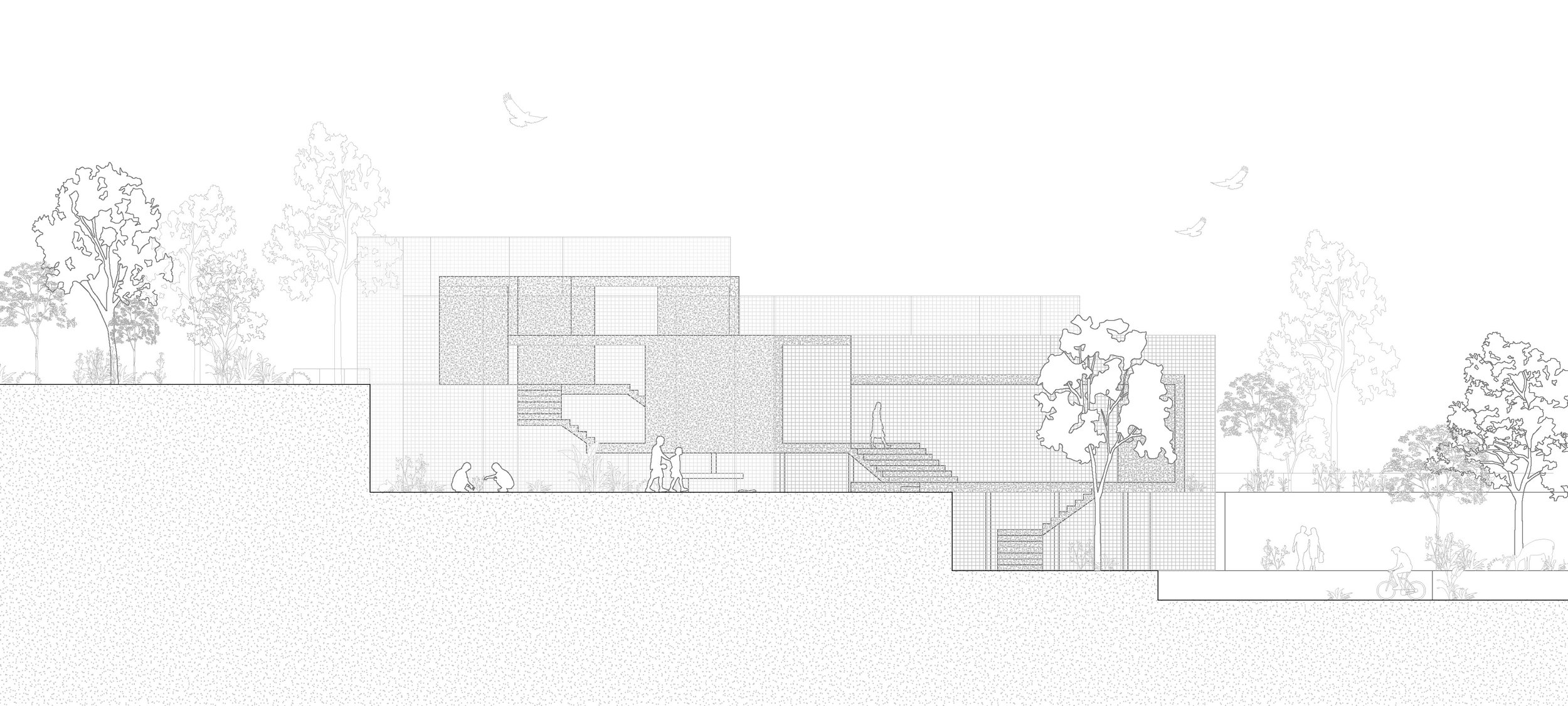 ELEVATION, SERIN MYUNG