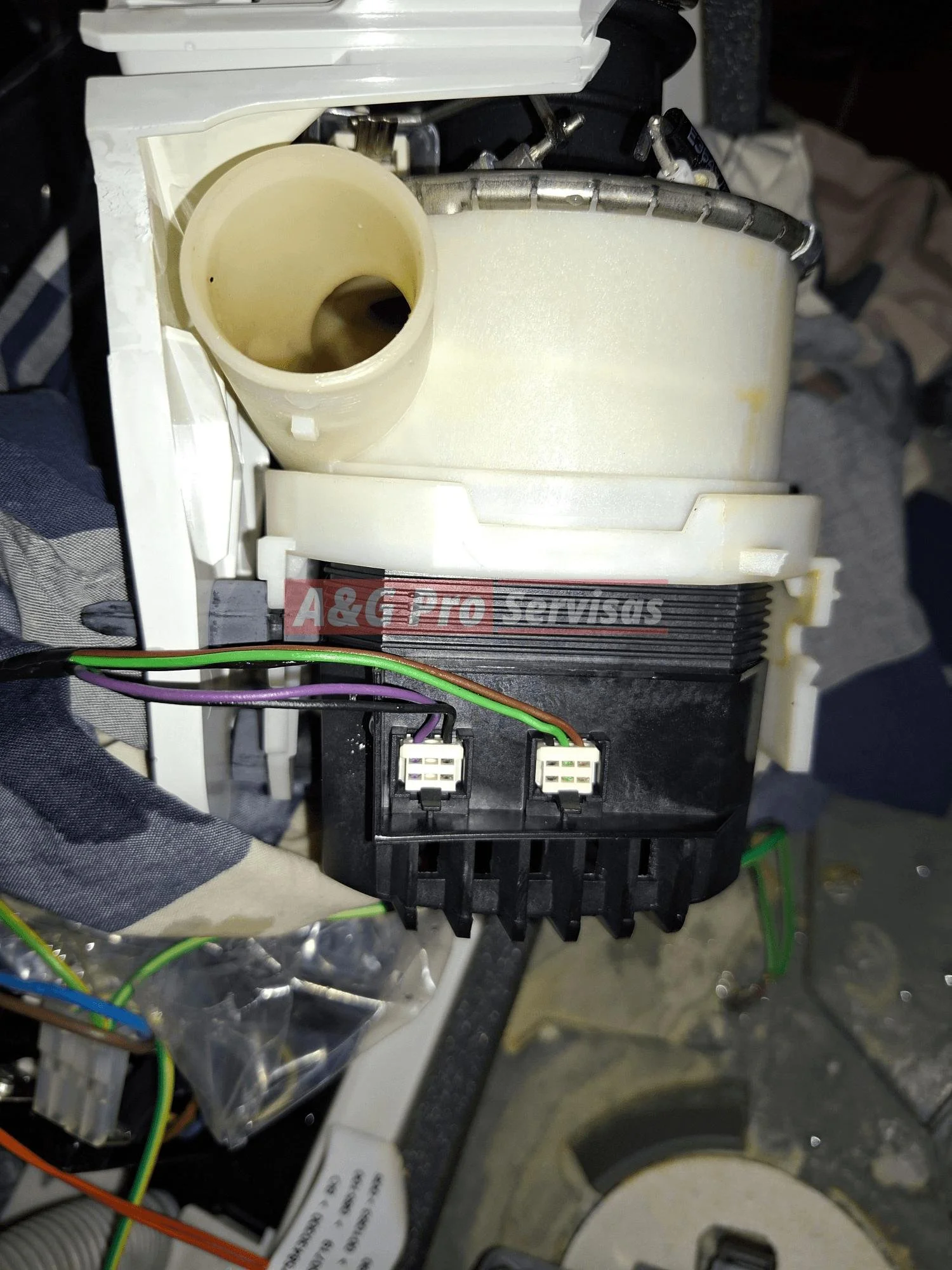 Beko indaplovės cirkuliacinio siurblio variklio gedimas