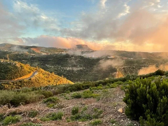 PHOTO-2024-06-20-21-34-52 (2).jpg