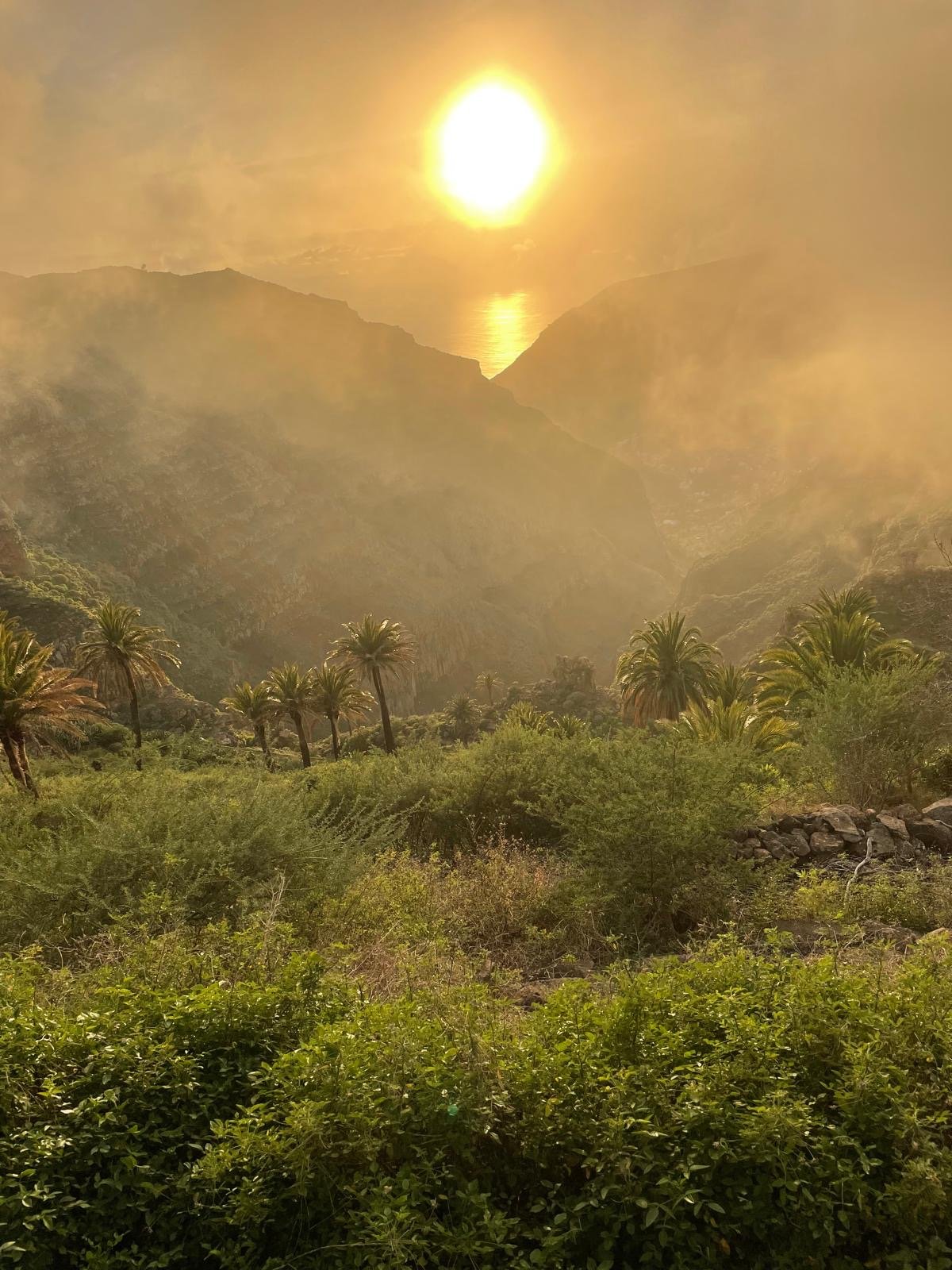 PHOTO-2024-06-20-21-34-52 (22).jpg