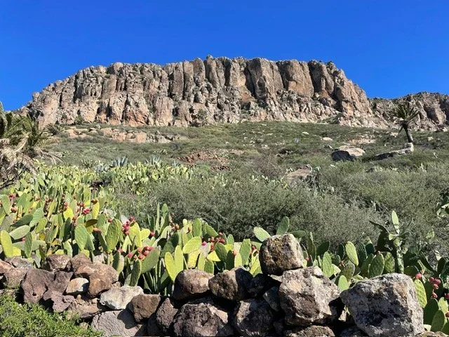 PHOTO-2024-06-20-21-34-52 (11).jpg