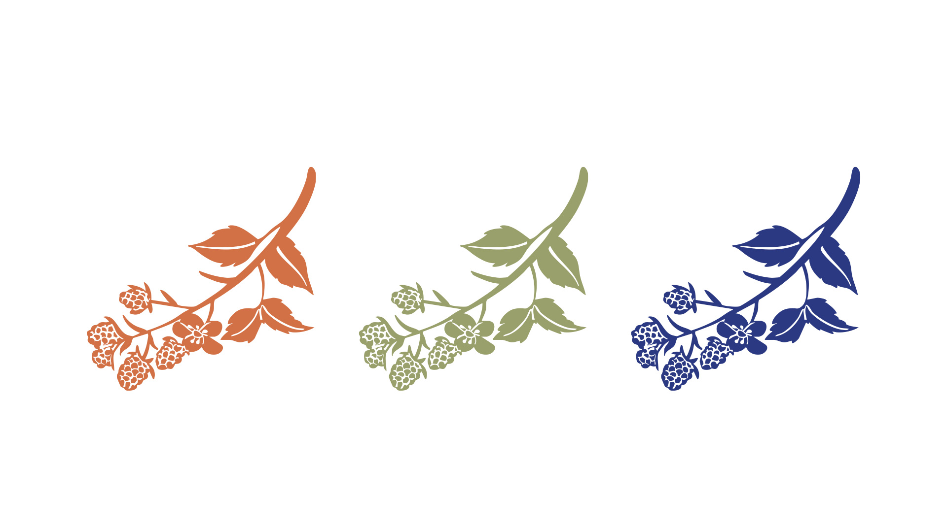 FIVE FOXES FARM BRAND IDENTITY 2.011.png