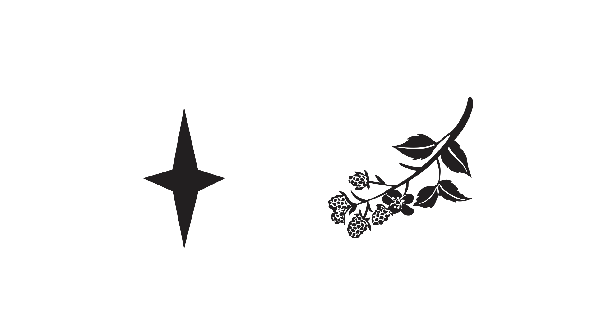 FIVE FOXES FARM BRAND IDENTITY 2.004.png