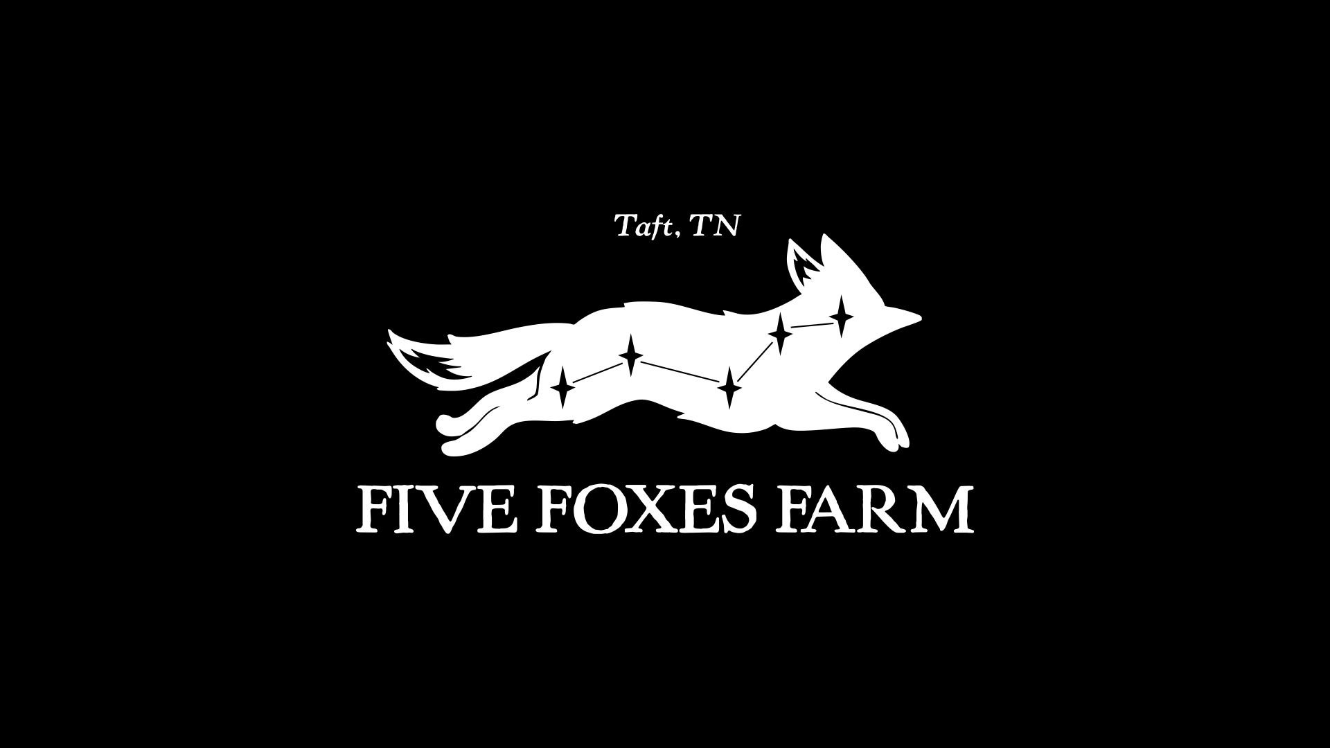 FIVE FOXES FARM BRAND IDENTITY ig.006.png