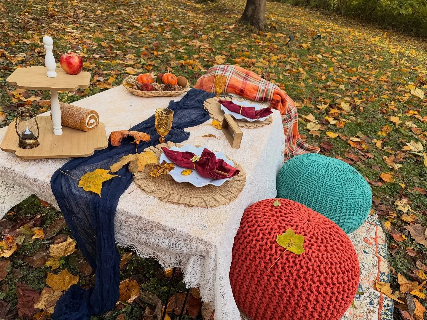 ✨Friendsgiving Picnic Vibes✨

It may be cold and rainy today but the next 2 weeks forecast is showing pleasant autumn weather! 🍂 🍁 

And your favorite people are coming into town? 
what better way to celebrate than with a cozy outdoor picnic? 🍂🧺✨