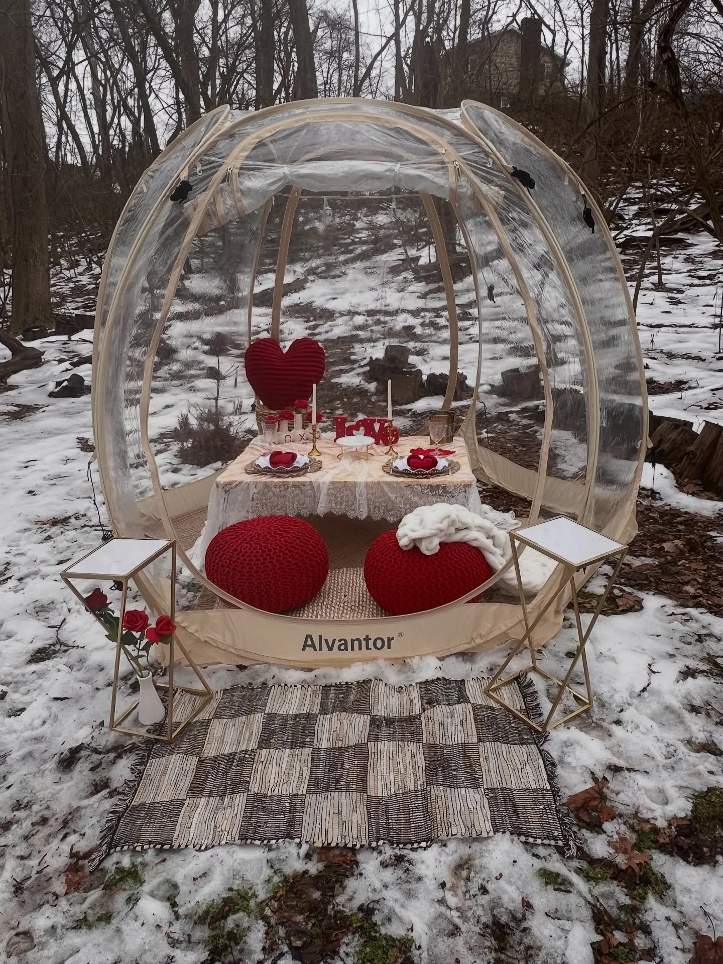 Who&rsquo;s willing to brave the snow ❄️ for a very unique celebration of love? ❤️

Check out our heated igloo setup. 

💫 www.pearlpicnicswv.com 💫 

#HeatedIgloo #SnowyPicnicVibes #CozyWinterRomance
#valentinesinanigloo  #IglooExperience