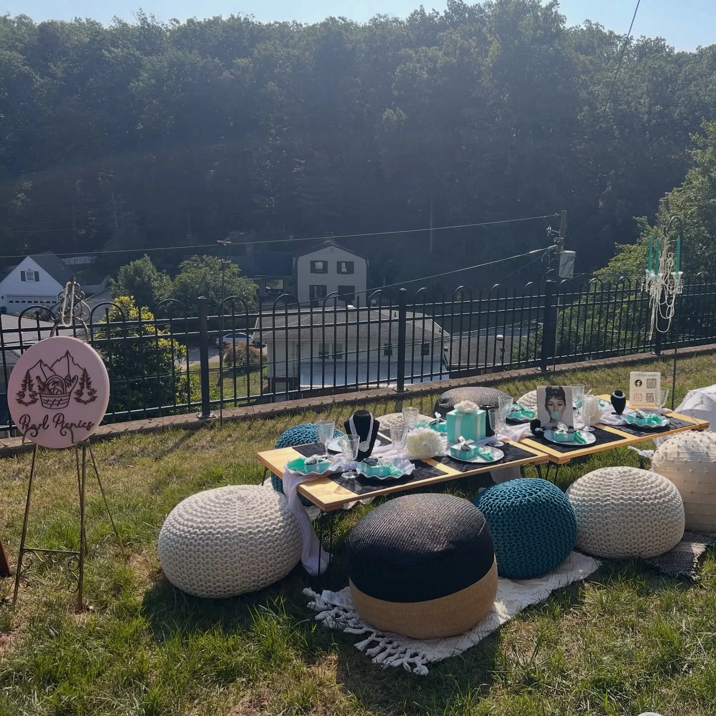 Patiently waiting for Mother Nature to make up its mind.
However it&rsquo;s the perfect time to book your picnic event!
DM or book now

www.pearlpicnicswv.com

#springisinlessthanaweek #bringonpicnicseason #pearlpicnicswv #startplanningnow #luxurypic