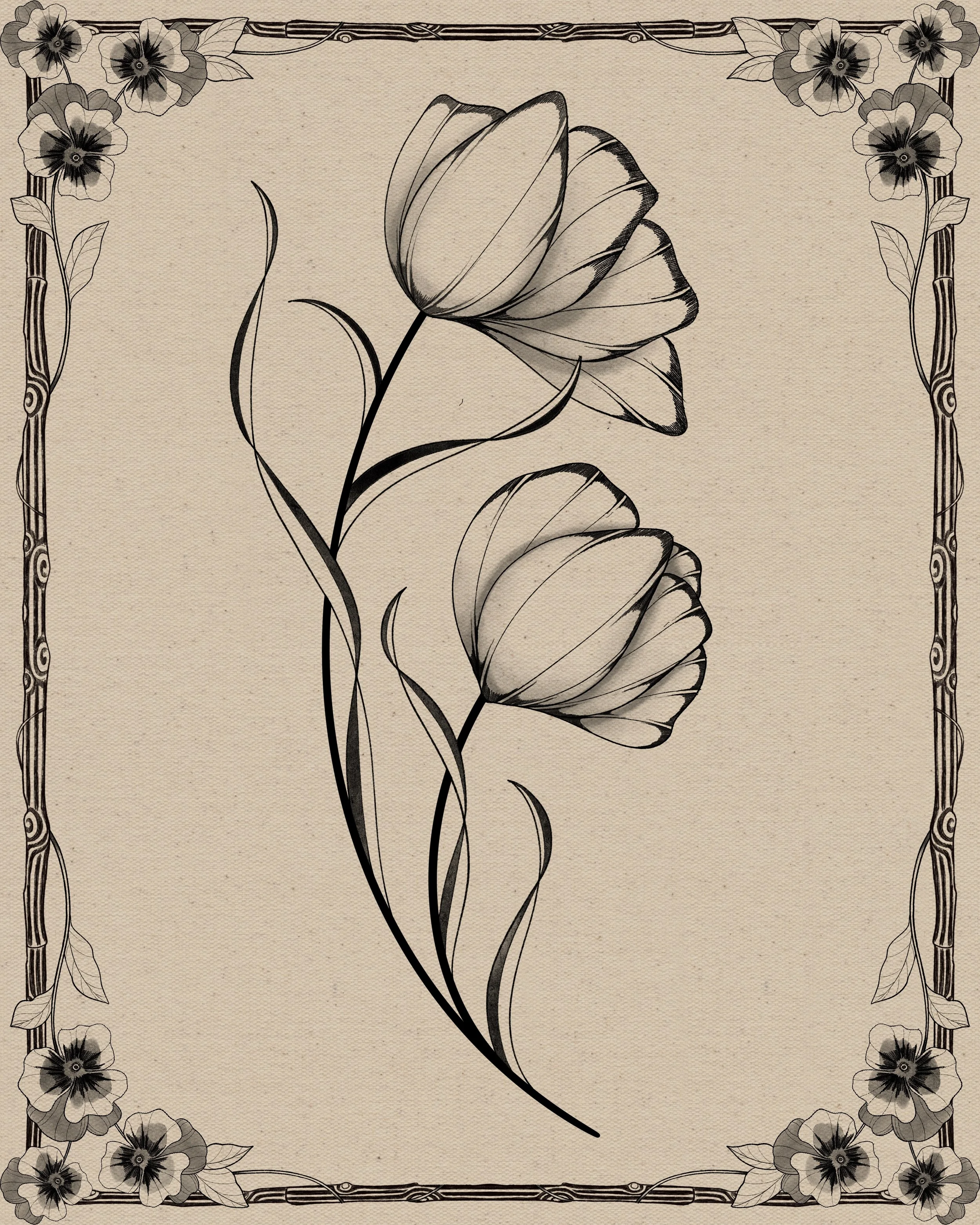 Tulip II
