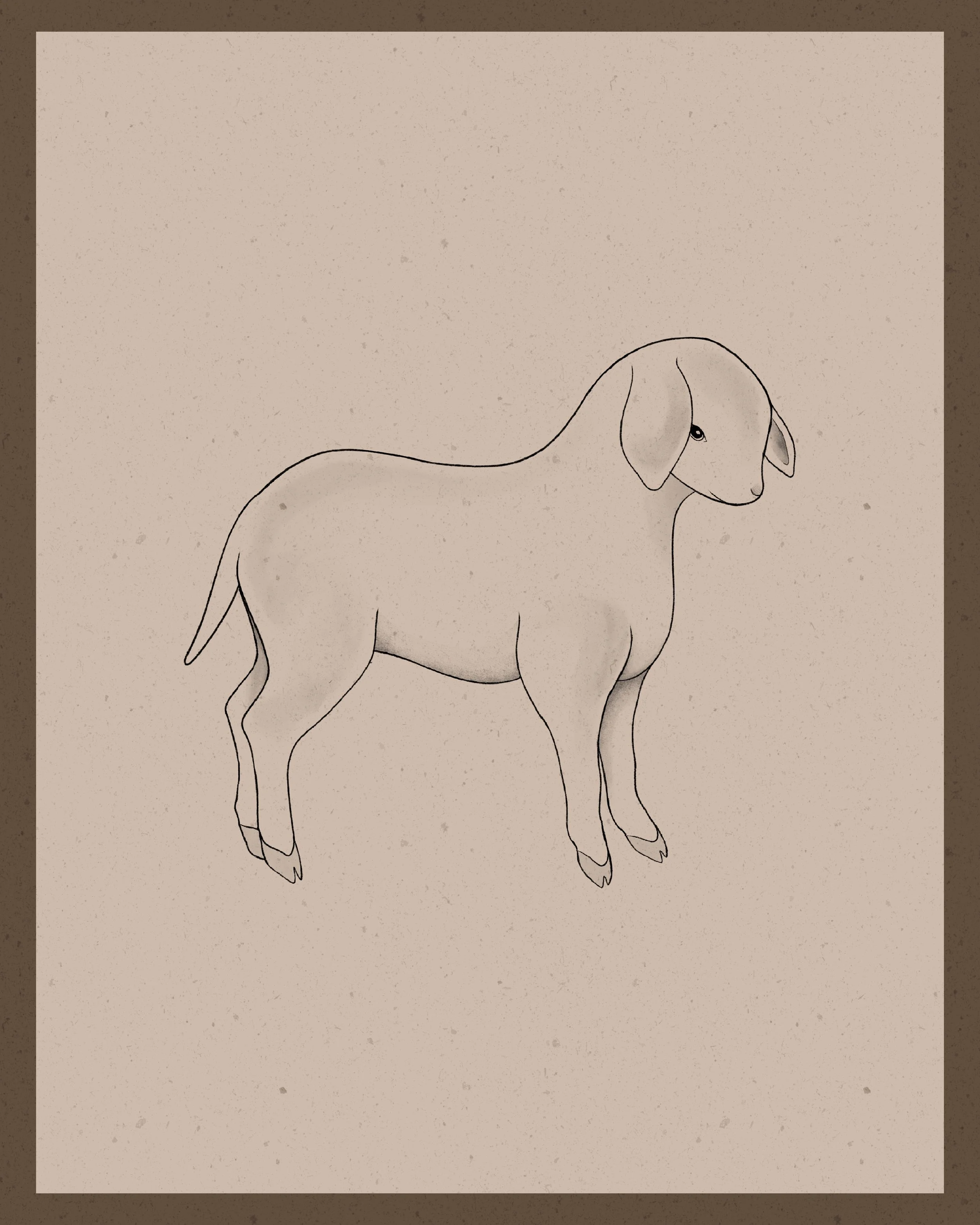 Fluffy Lamb I