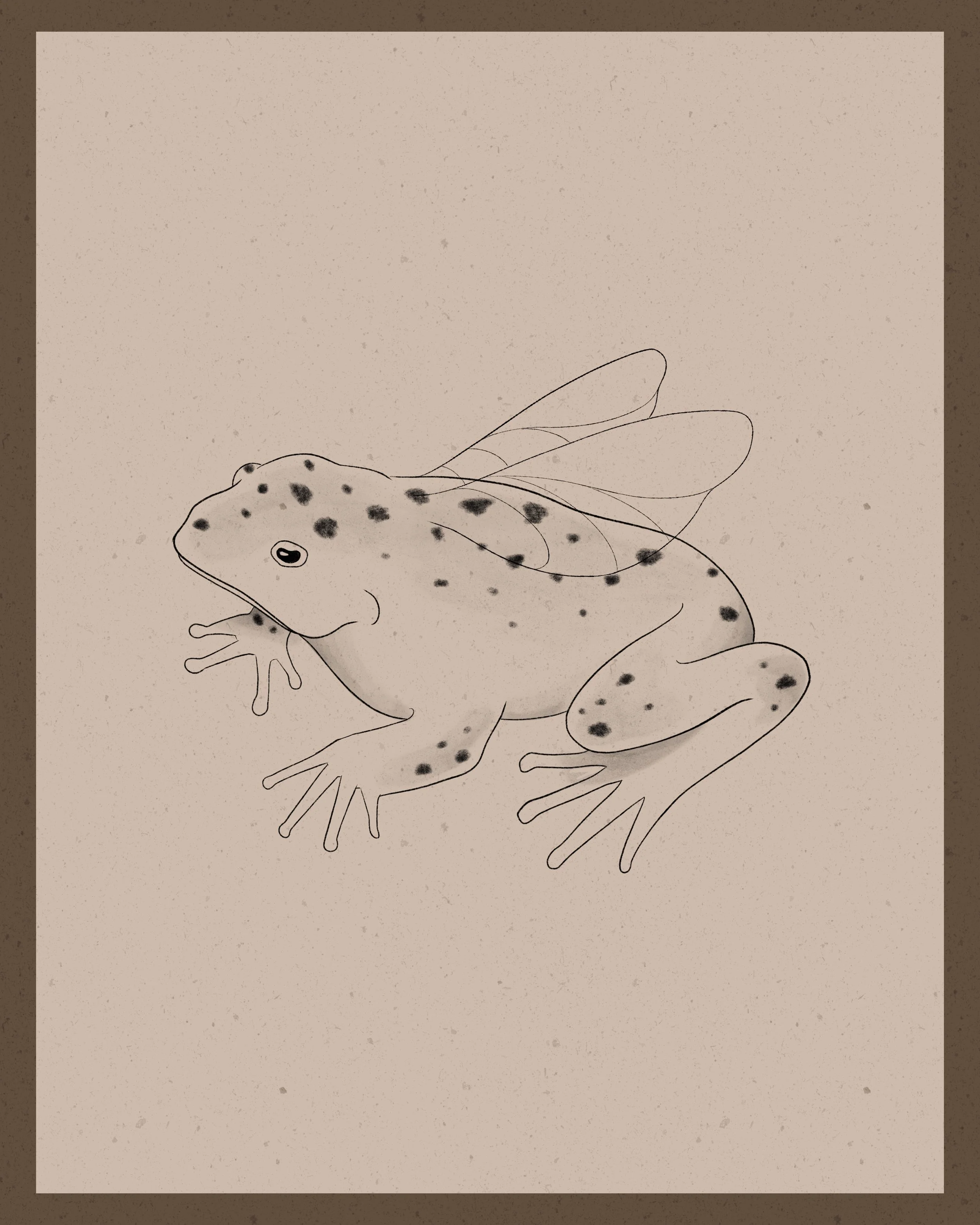 Fairydust Frog
