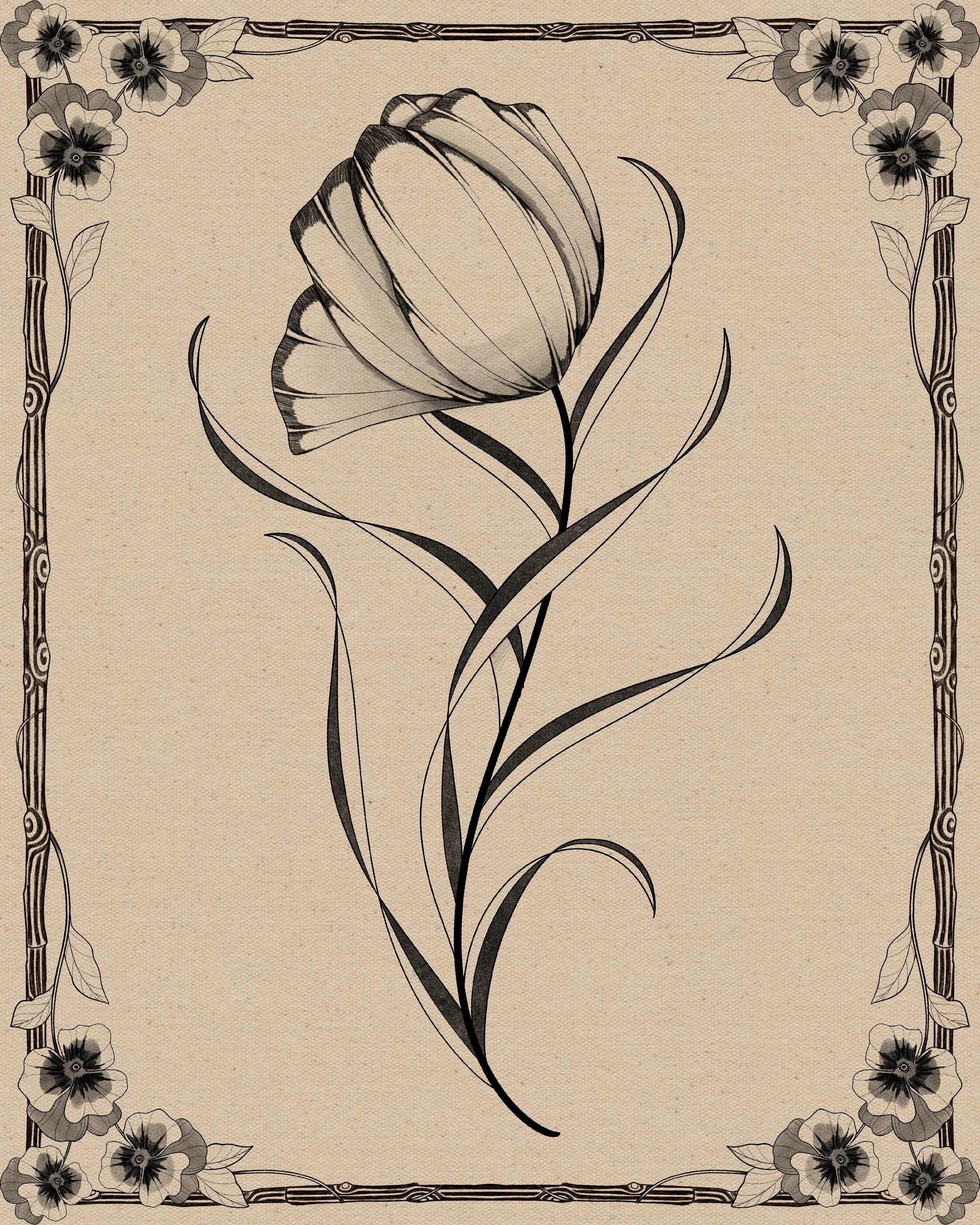 Tulip I
