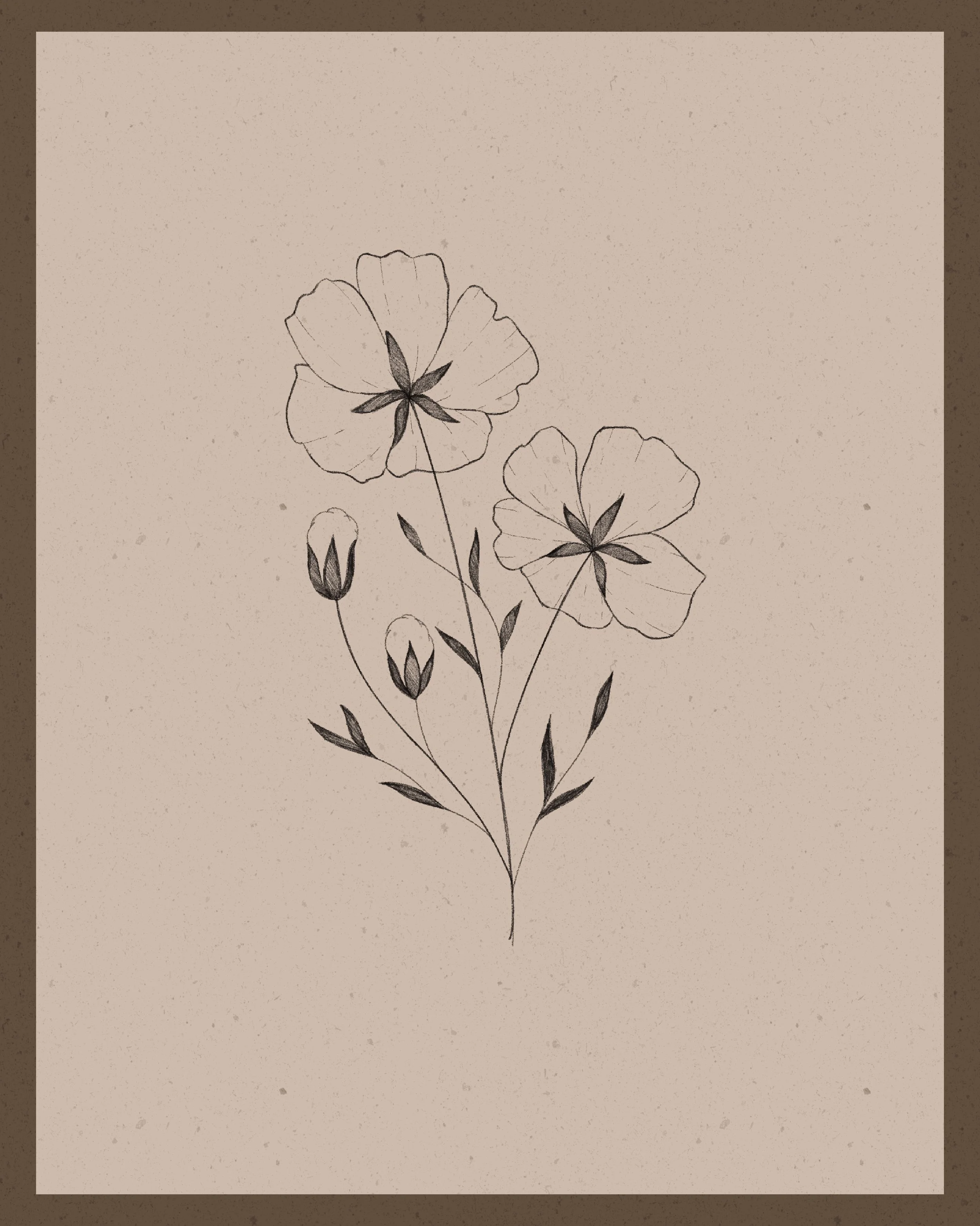 Delicate Flowers