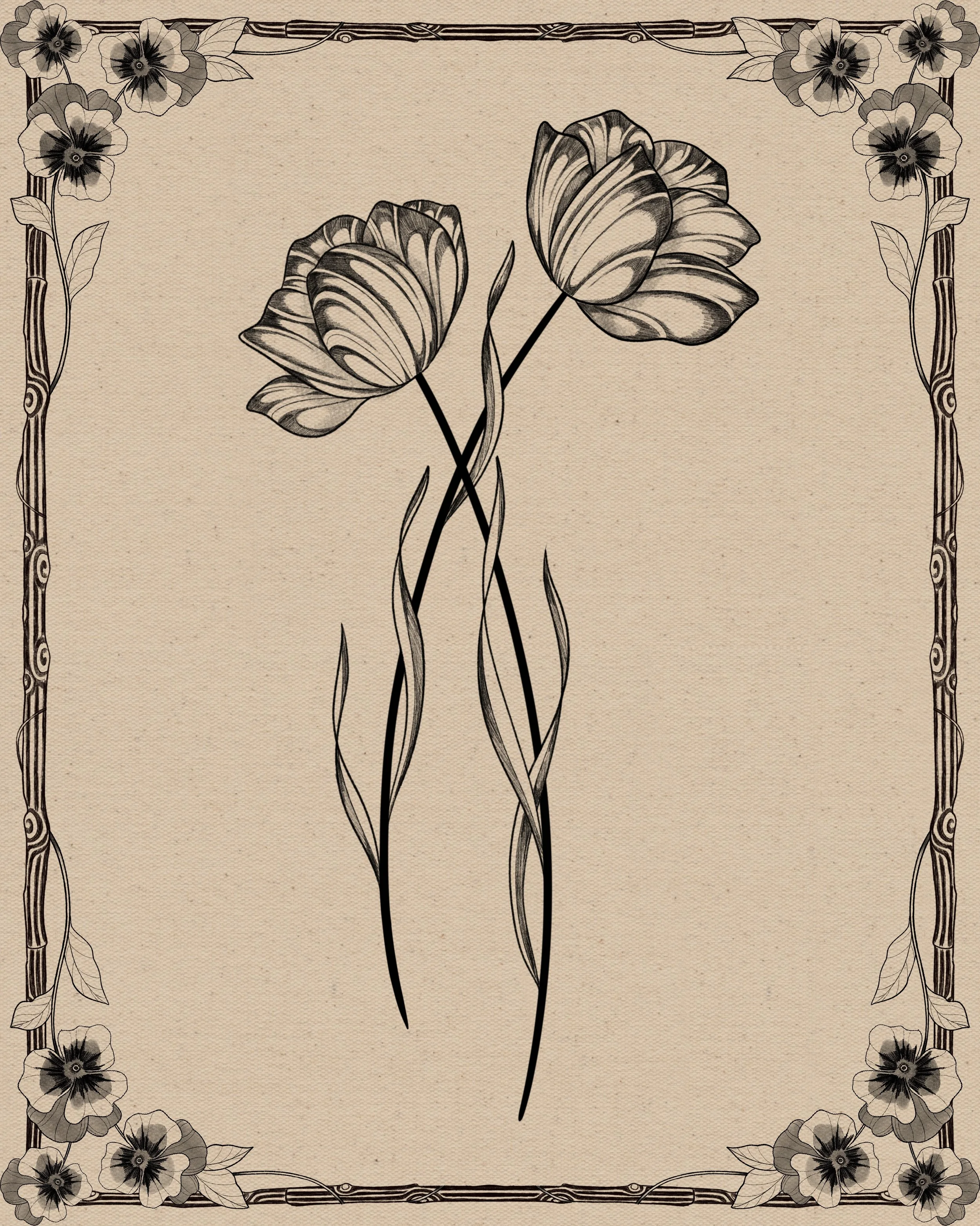 Tulip III