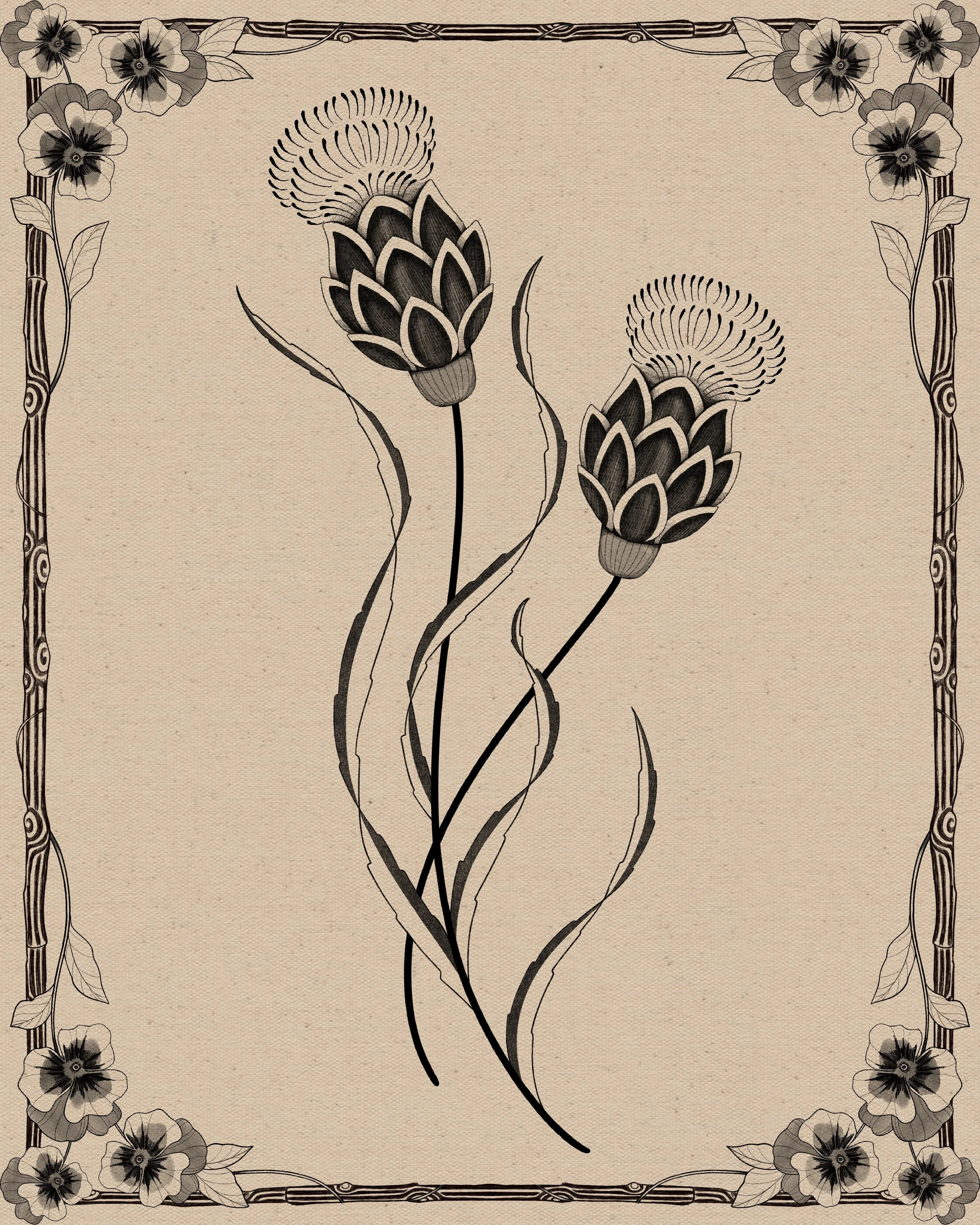 Thistle II