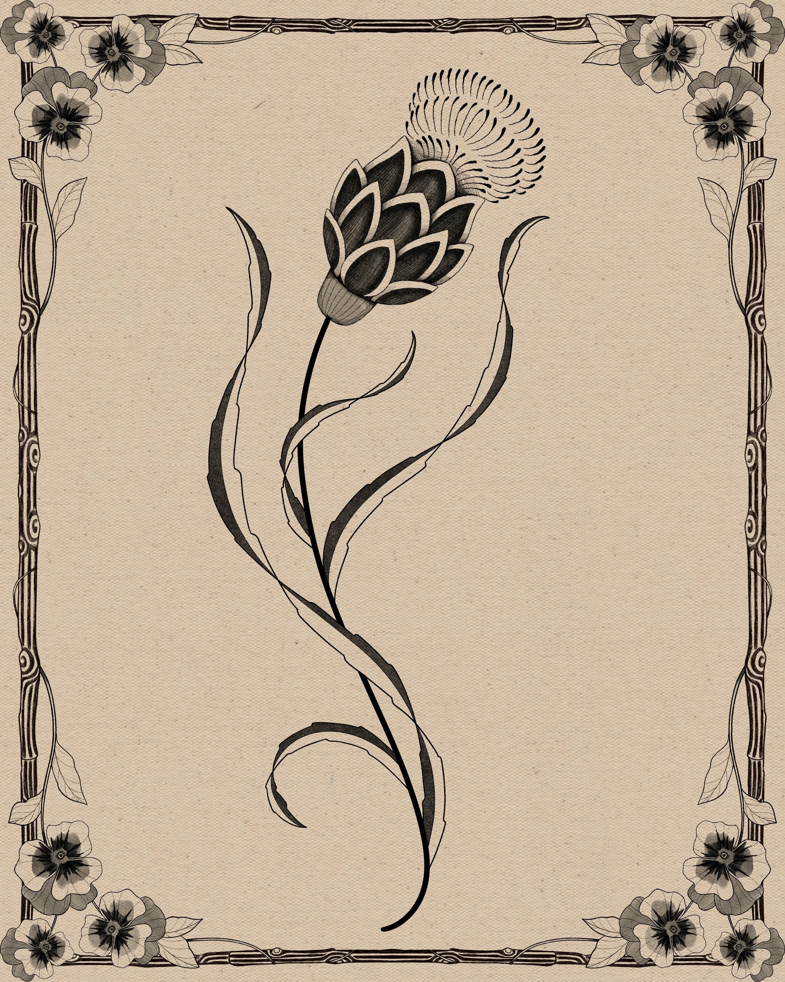 Thistle III