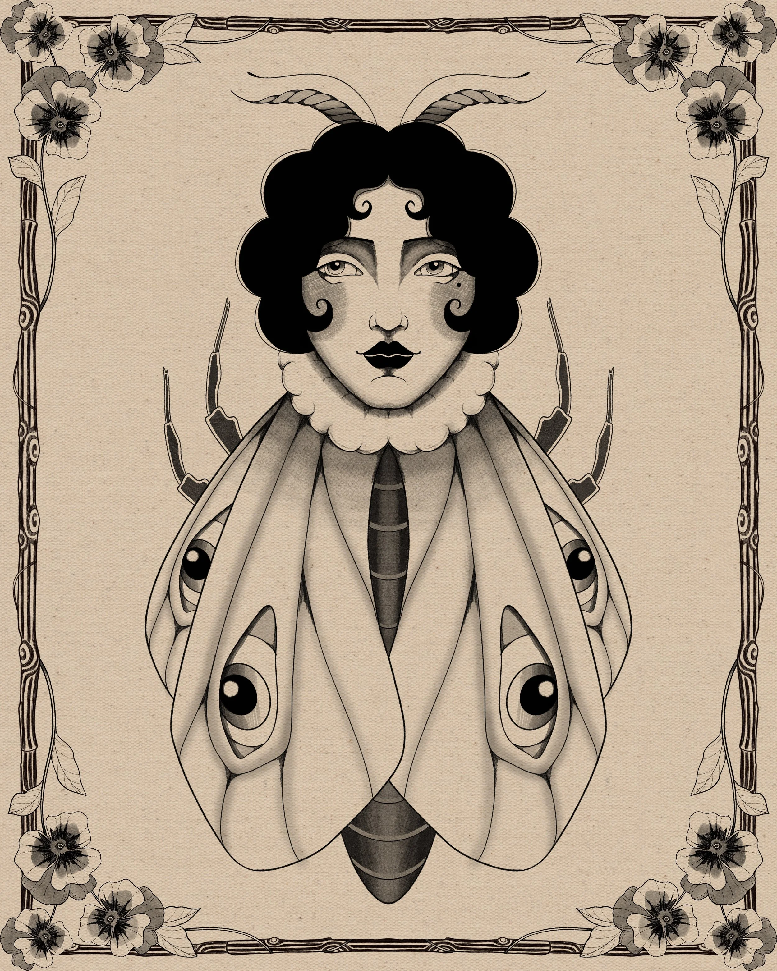 Midnight Moth