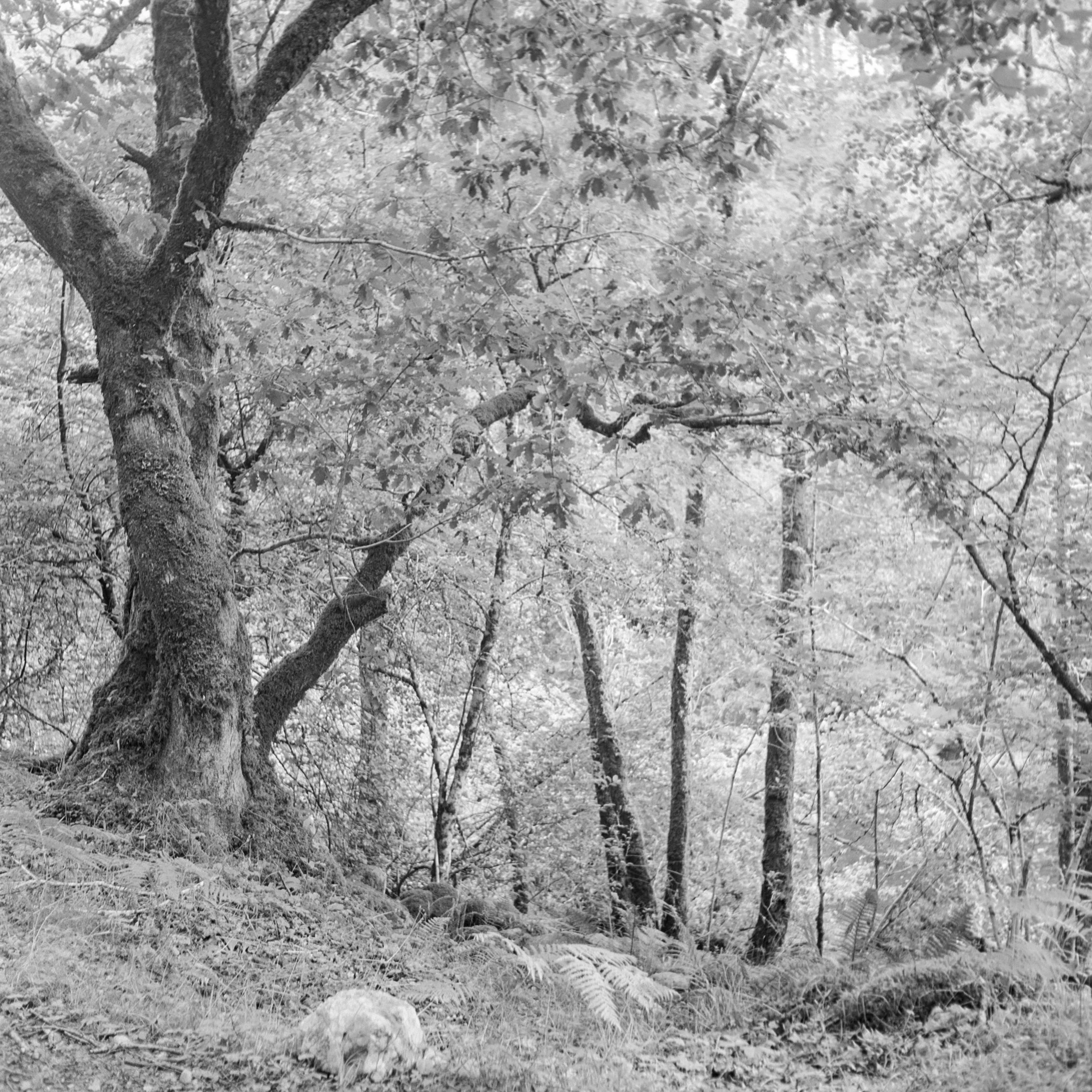 DSC05808-2.jpg