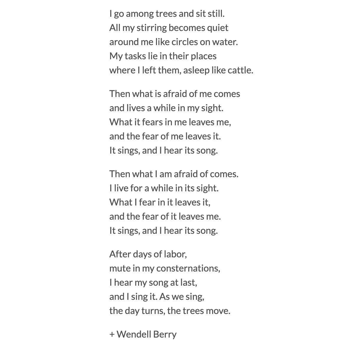 I Go Amongst Trees.jpg