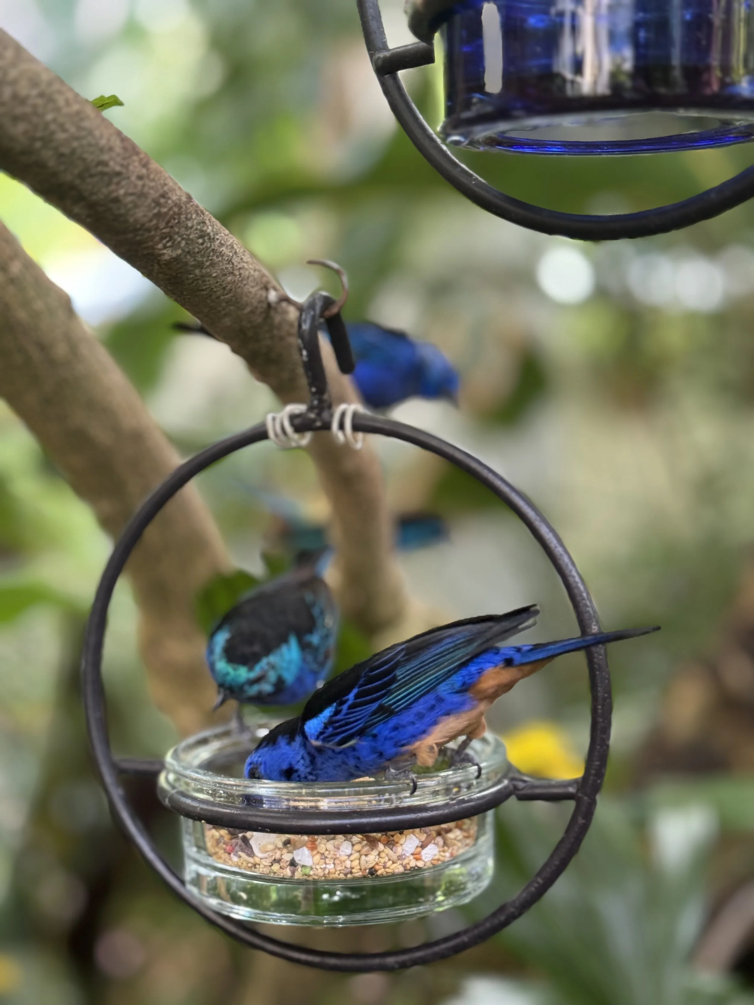 Self-Care for Parents is not Selfish, It’s Essential