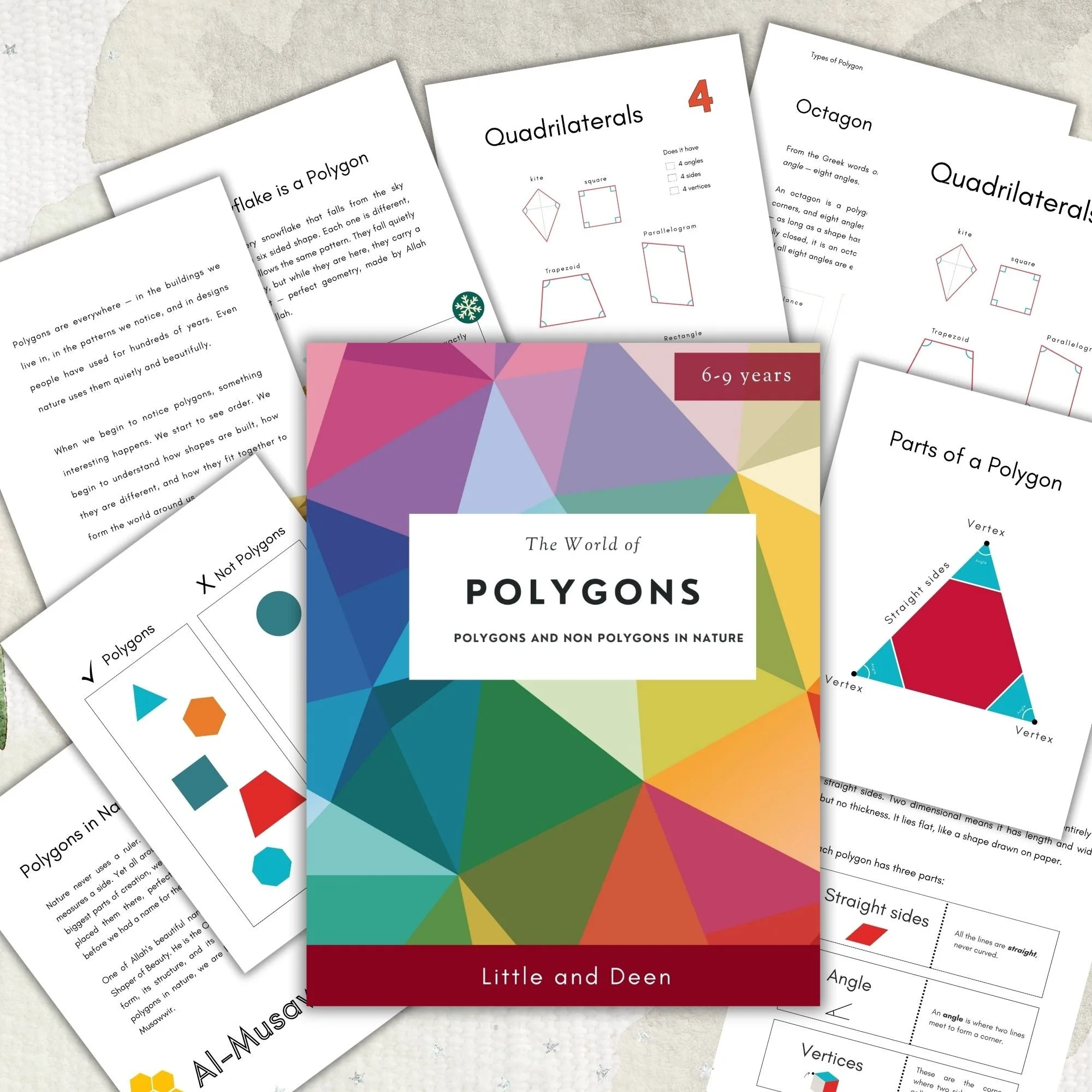 The World of Polygons