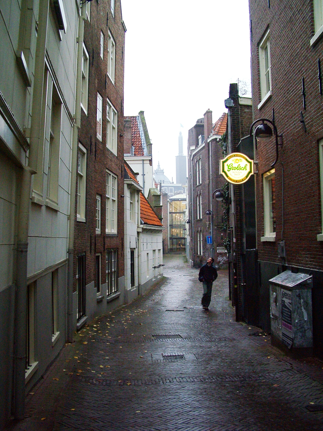 Amsterdam Alley Walker.png