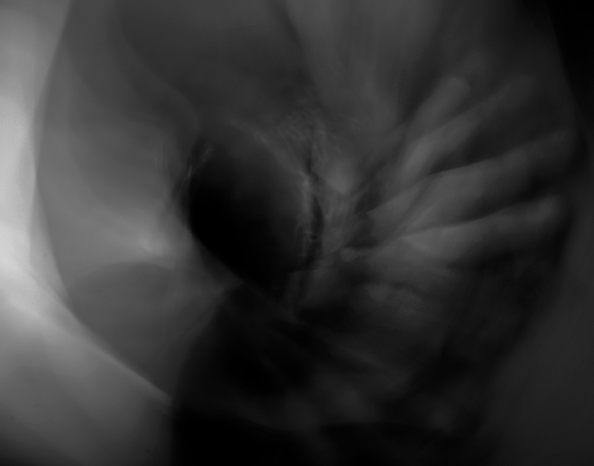eros_Z62_3797.jpg