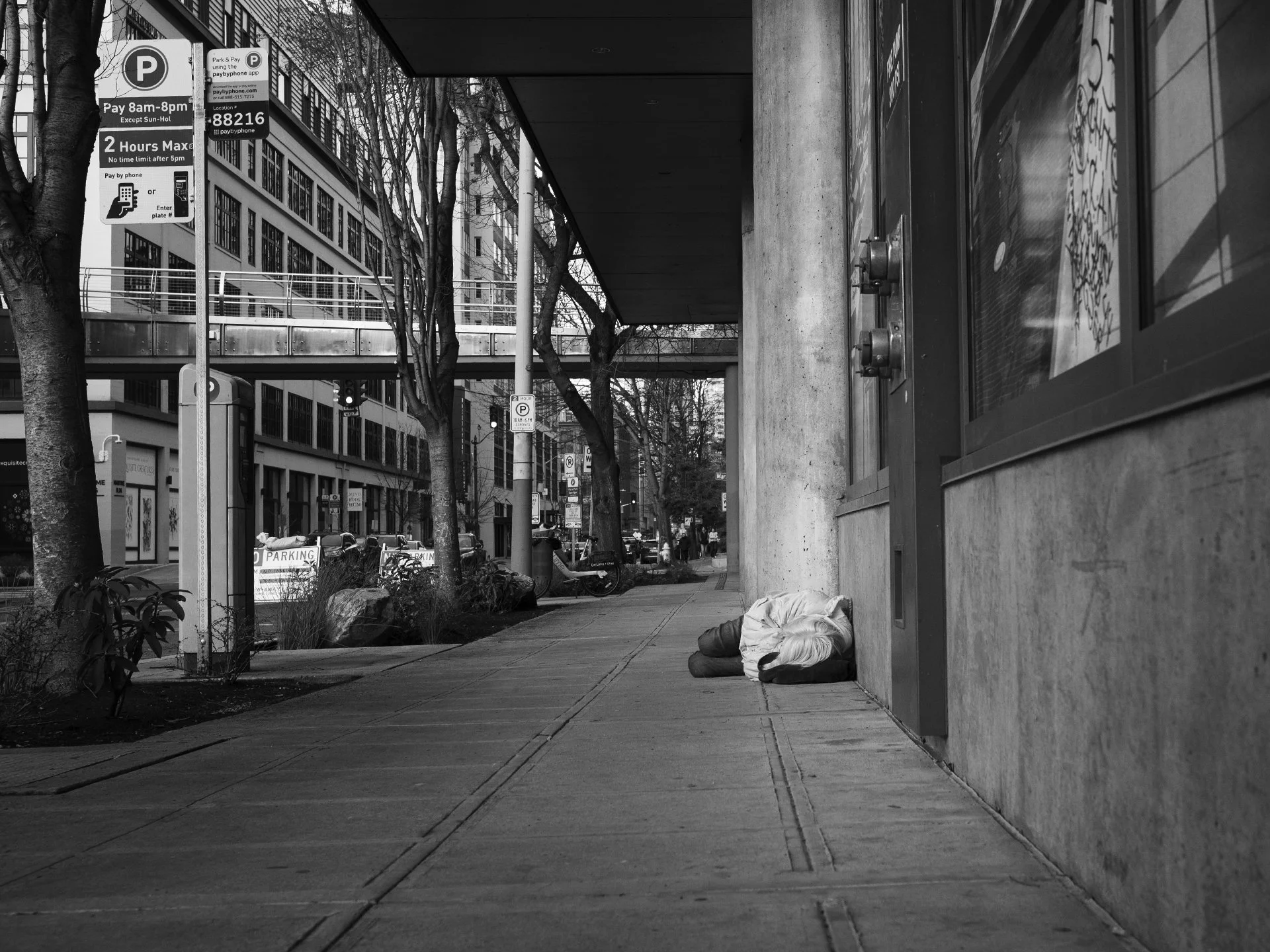 Street Sleeper
