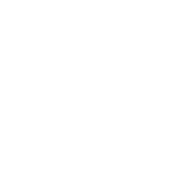 Get Sh*t Done Girl