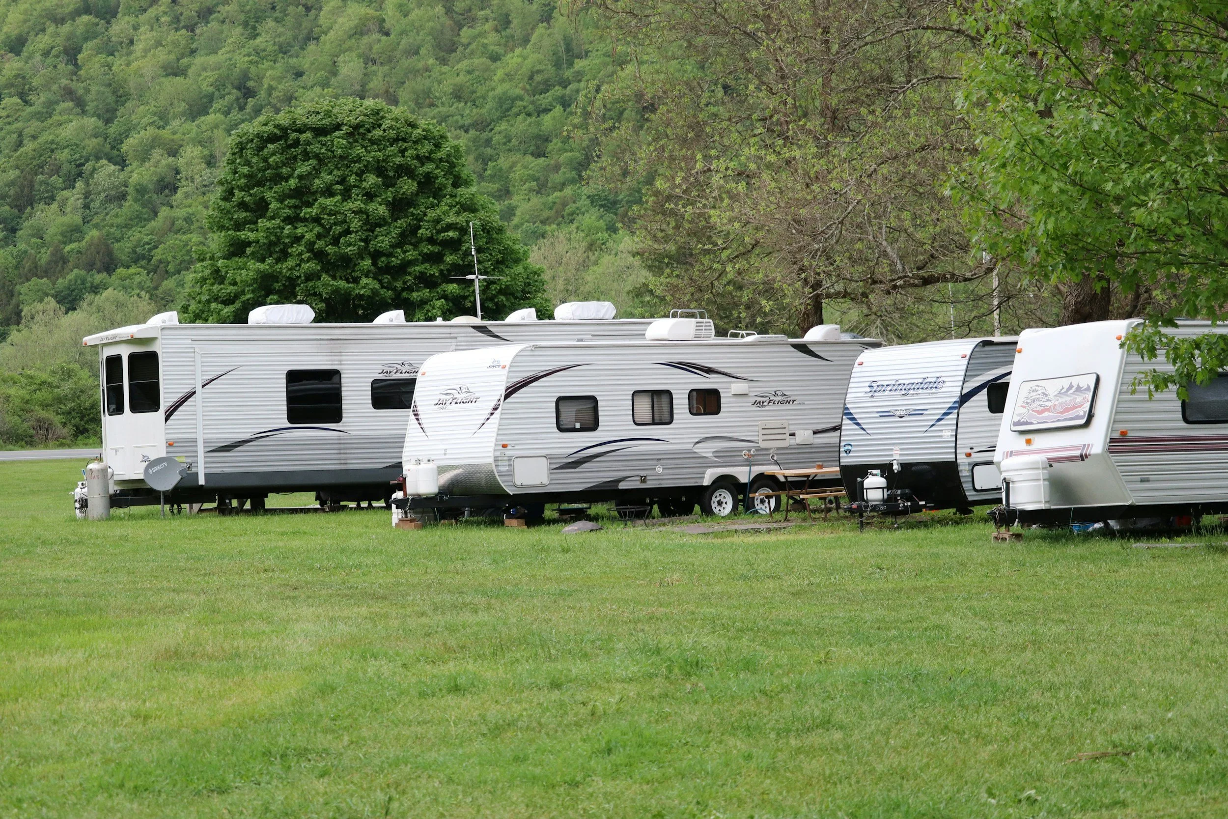 Several recreational vehicles (RVs) parked on a grassy field with trees and a forested hillside in the background.
