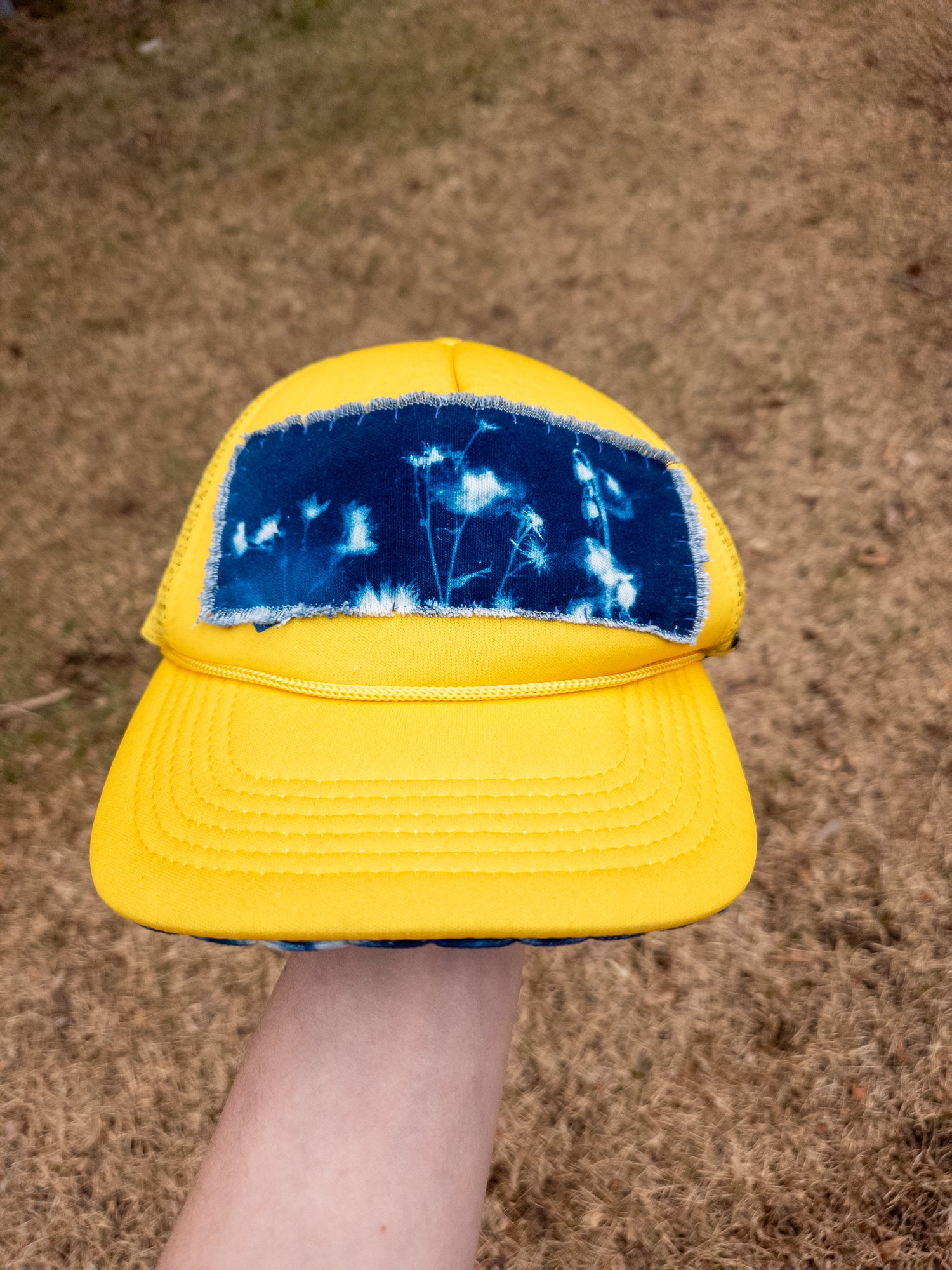 Botanicals and Cloud Six Panel | Edition Two