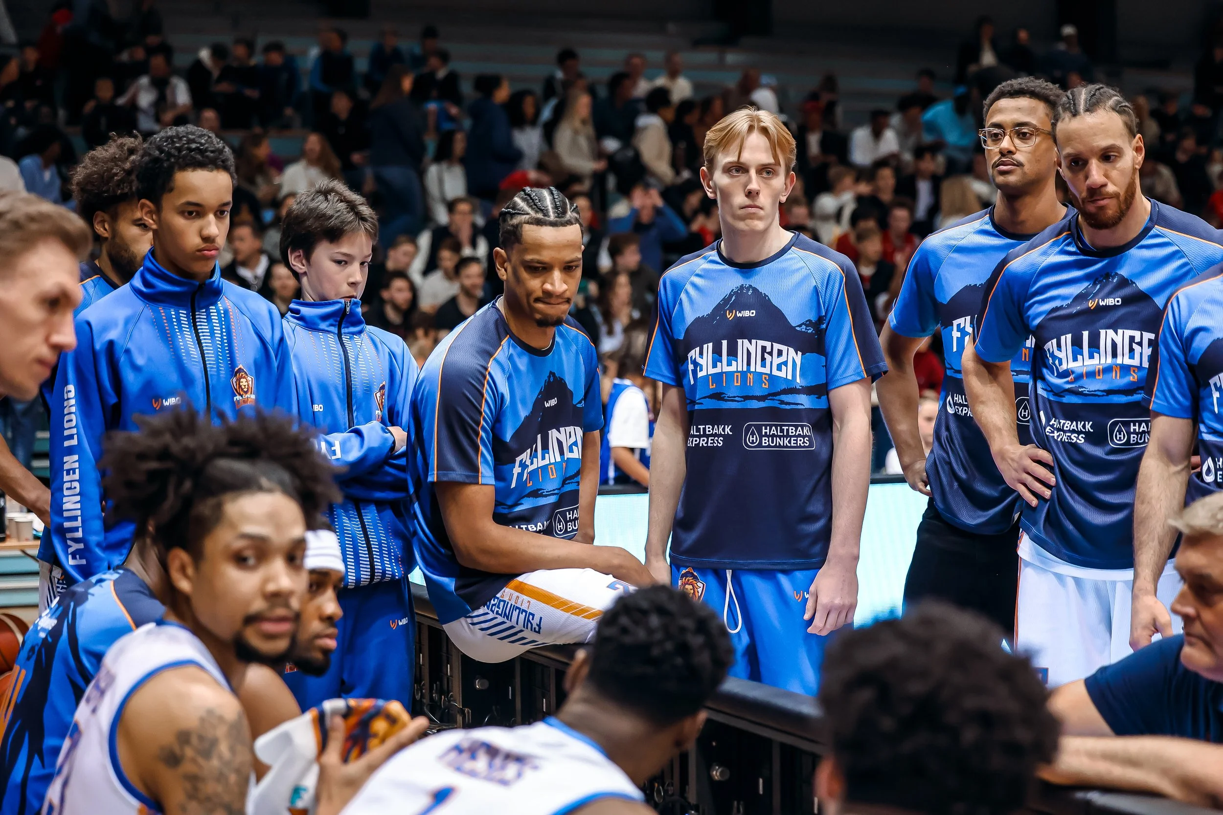 BLNO: TNT Towers - Fyllingen Lions