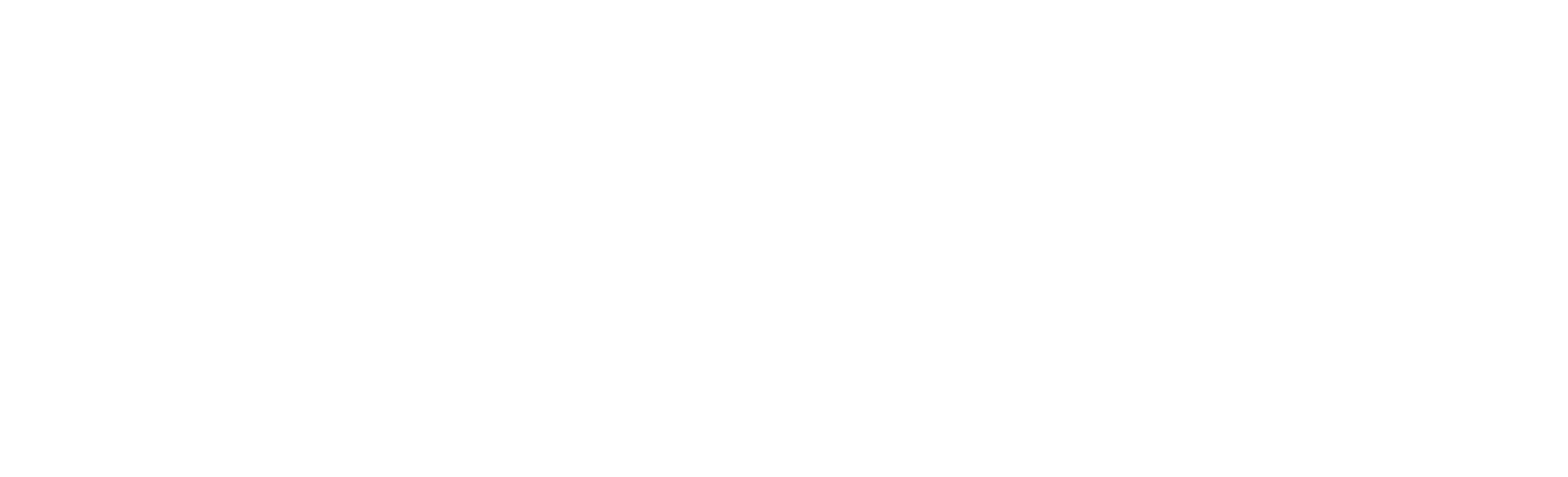 SBN Hovedlogo Hvit.png