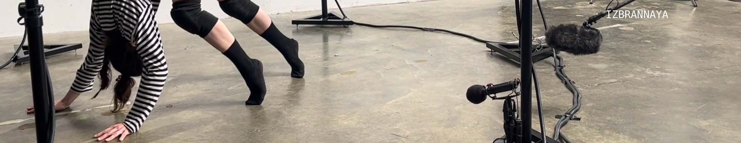 Home Gallery Crop IZBRANNAYA_1.png