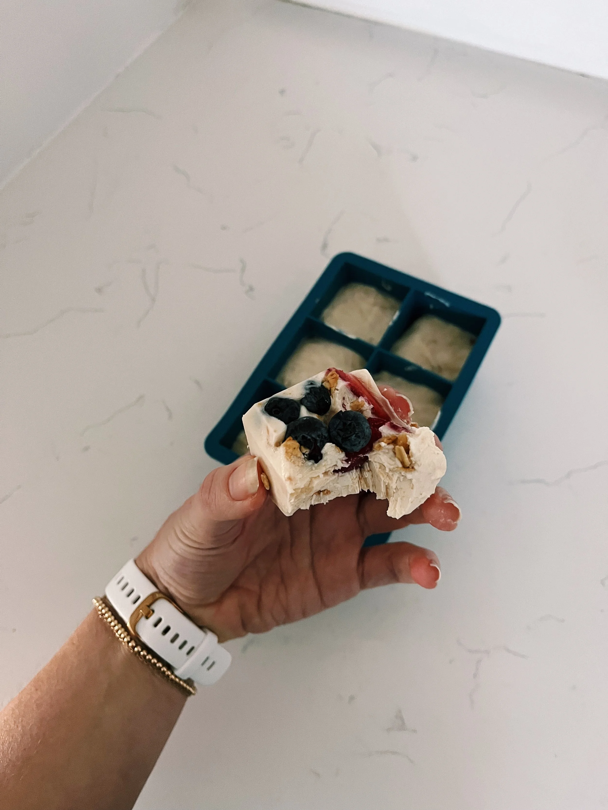 Frozen Greek Yogurt Bites