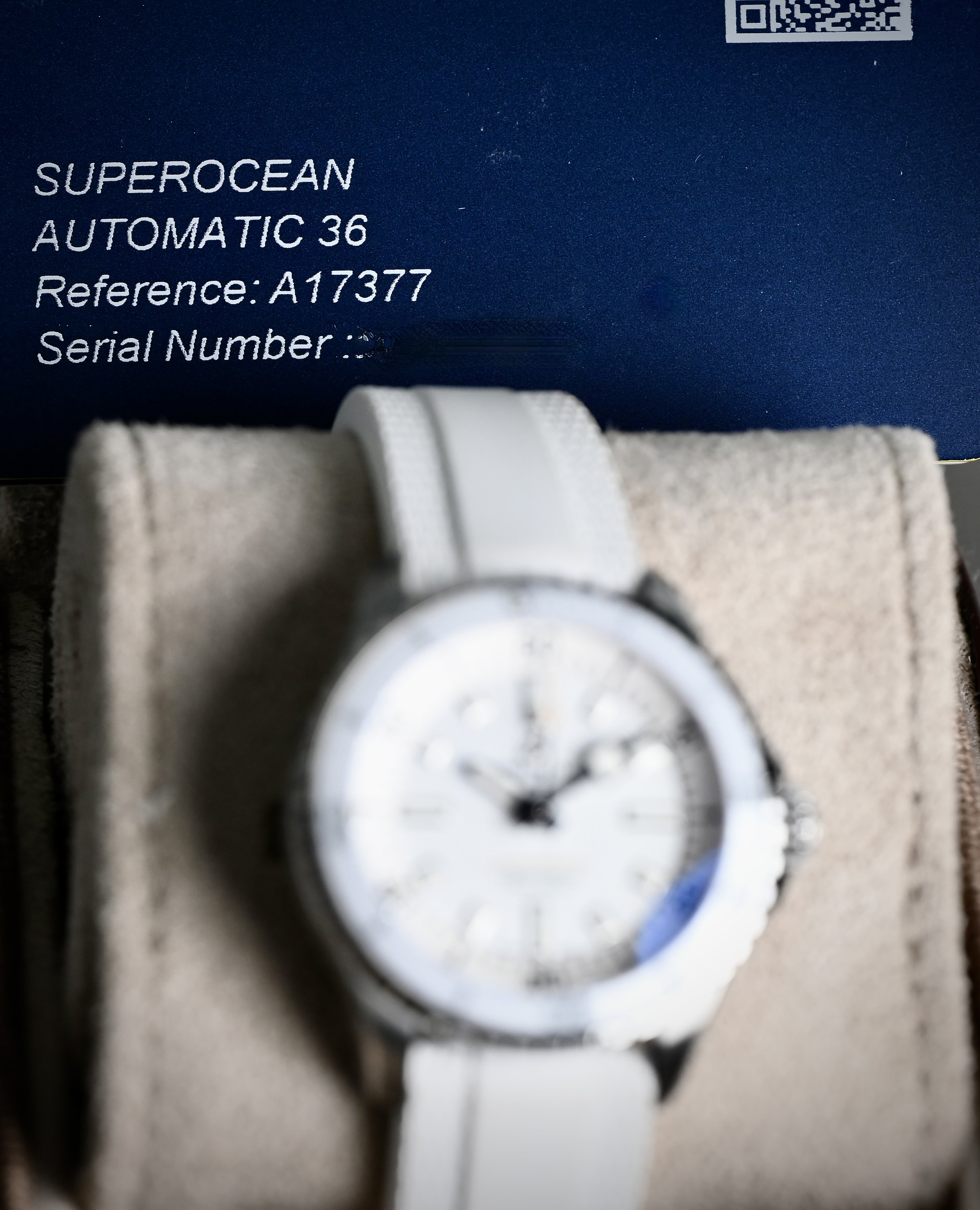 DSC_0899.jpeg