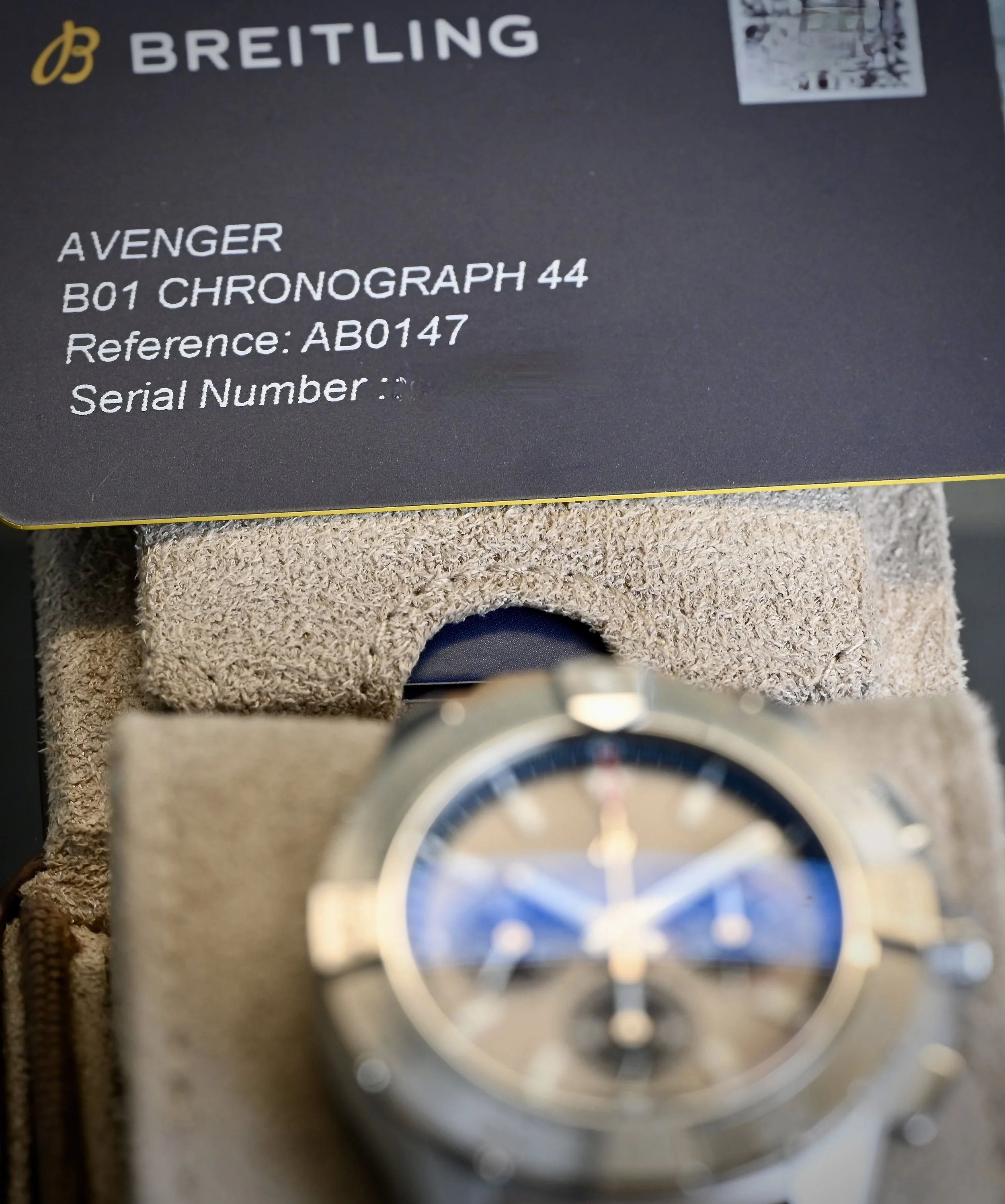 DSC_0894.jpeg