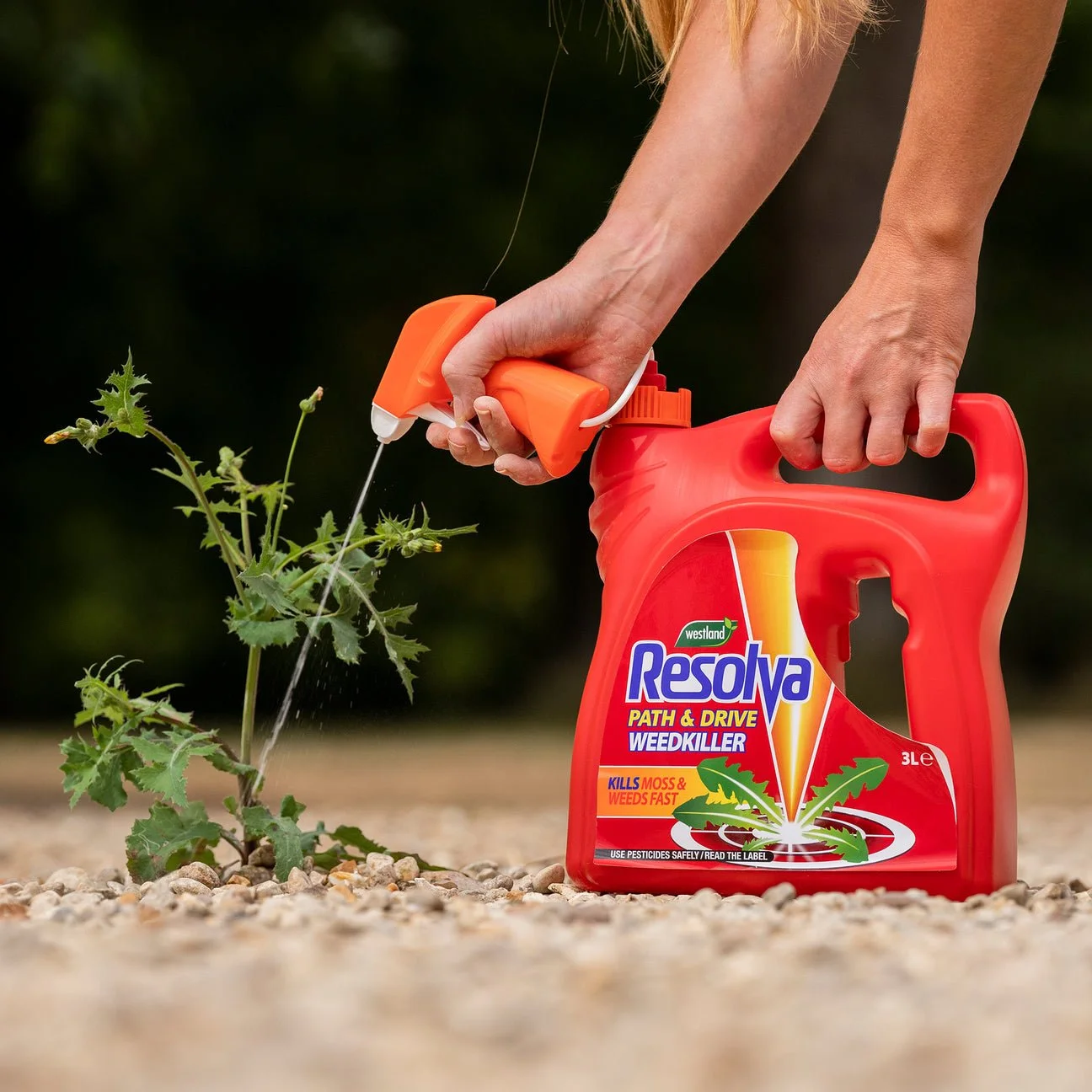 Garden WeedKiller &  Lawn Plant Care