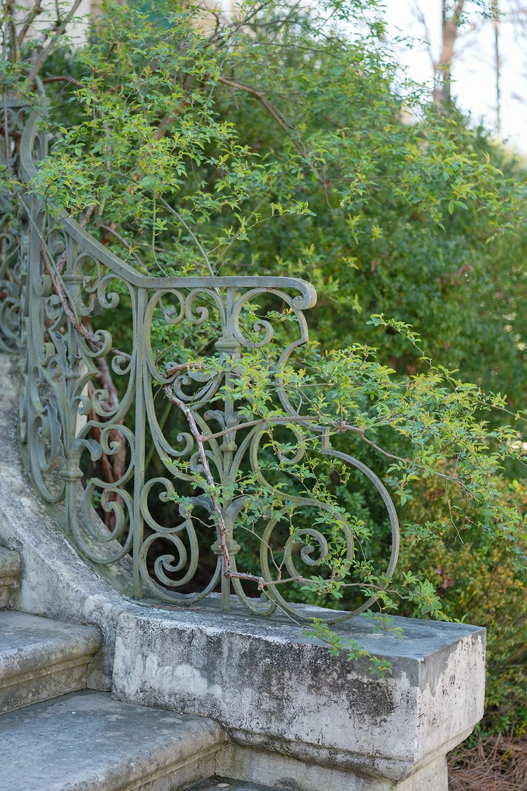 SwanHouse_AlyssaForbesPhotography-8747.jpg (Copy)