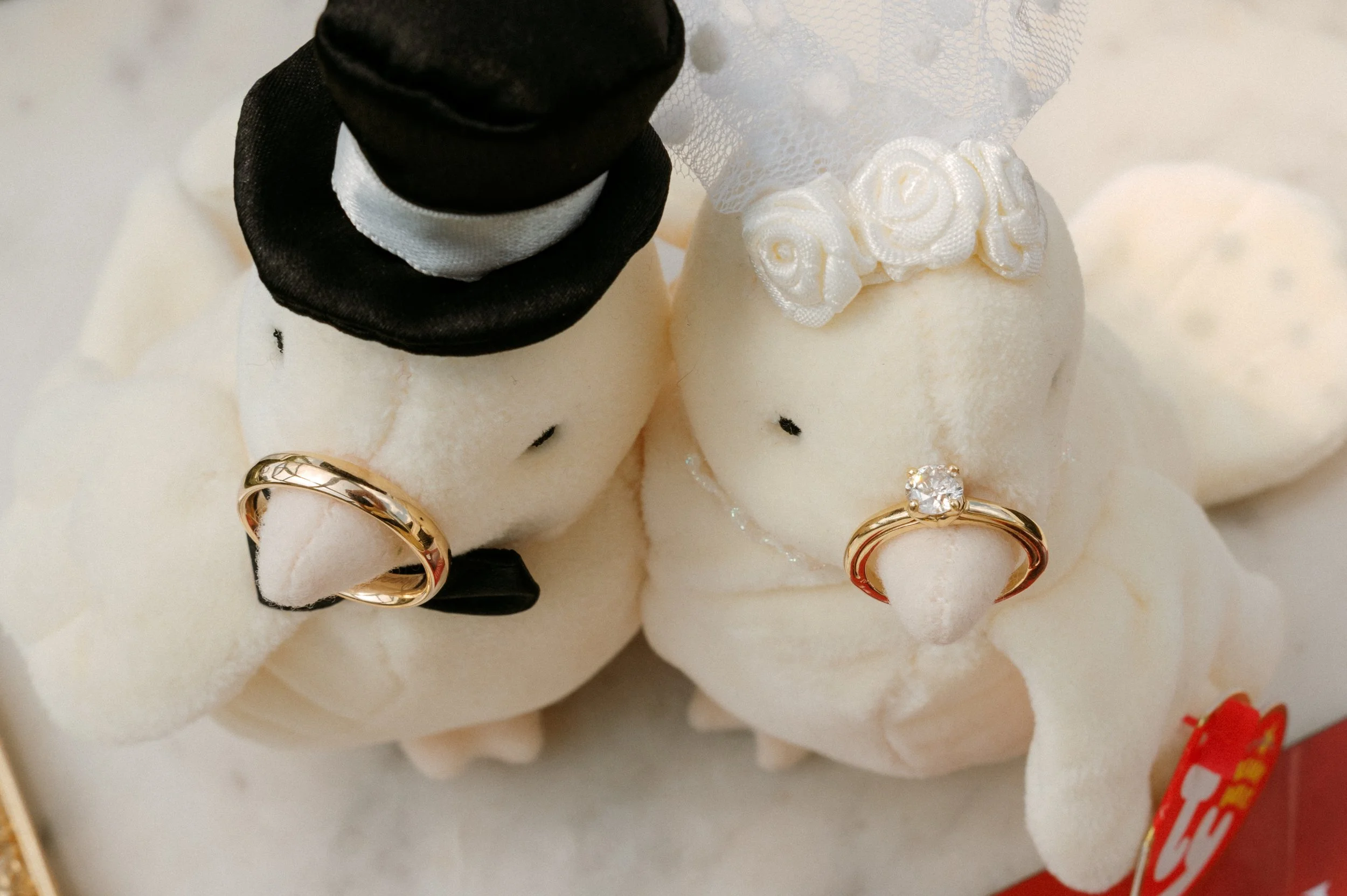 Hotel Clermont Rooftop Elopement pt.2