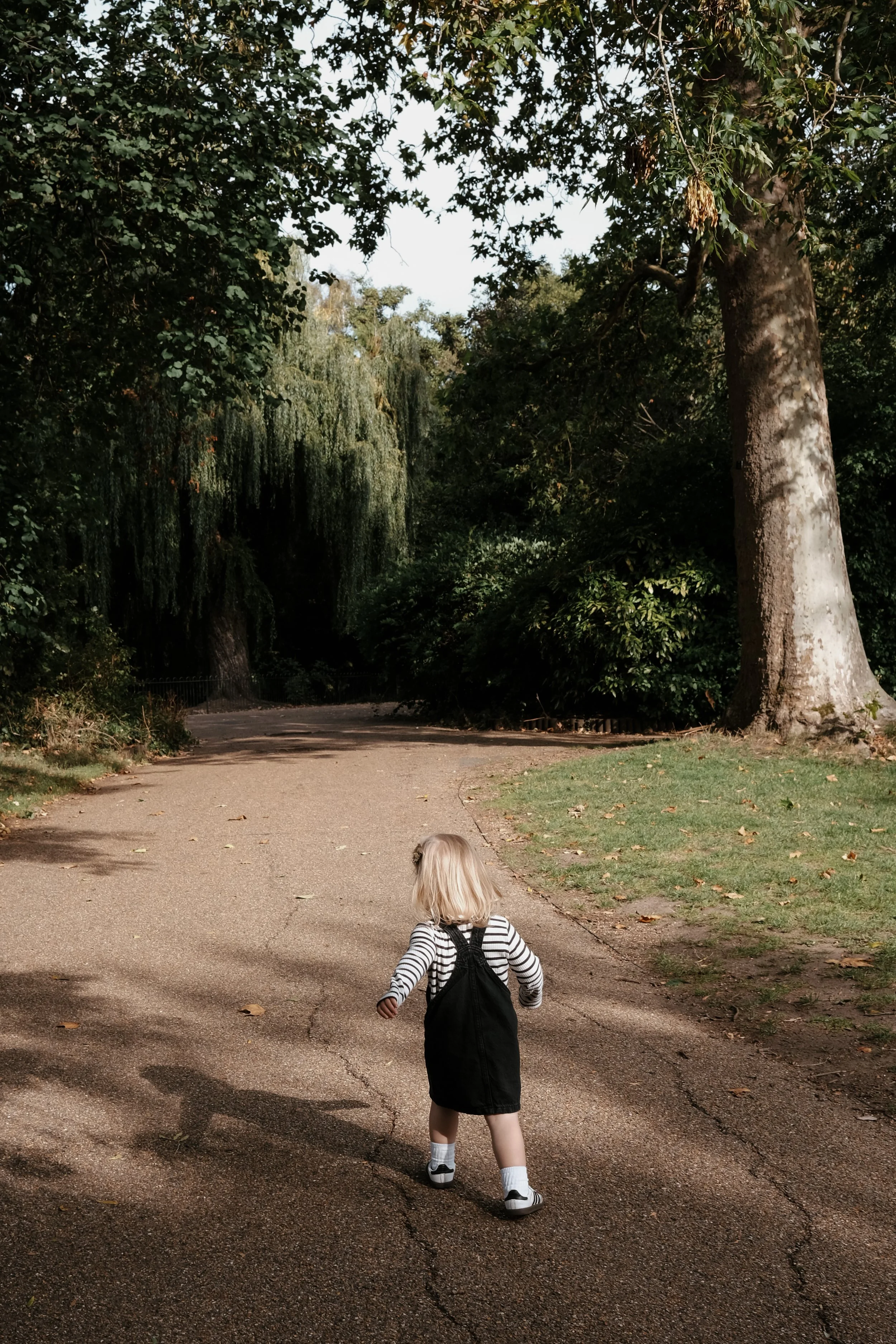 Georgie 2-020.jpg