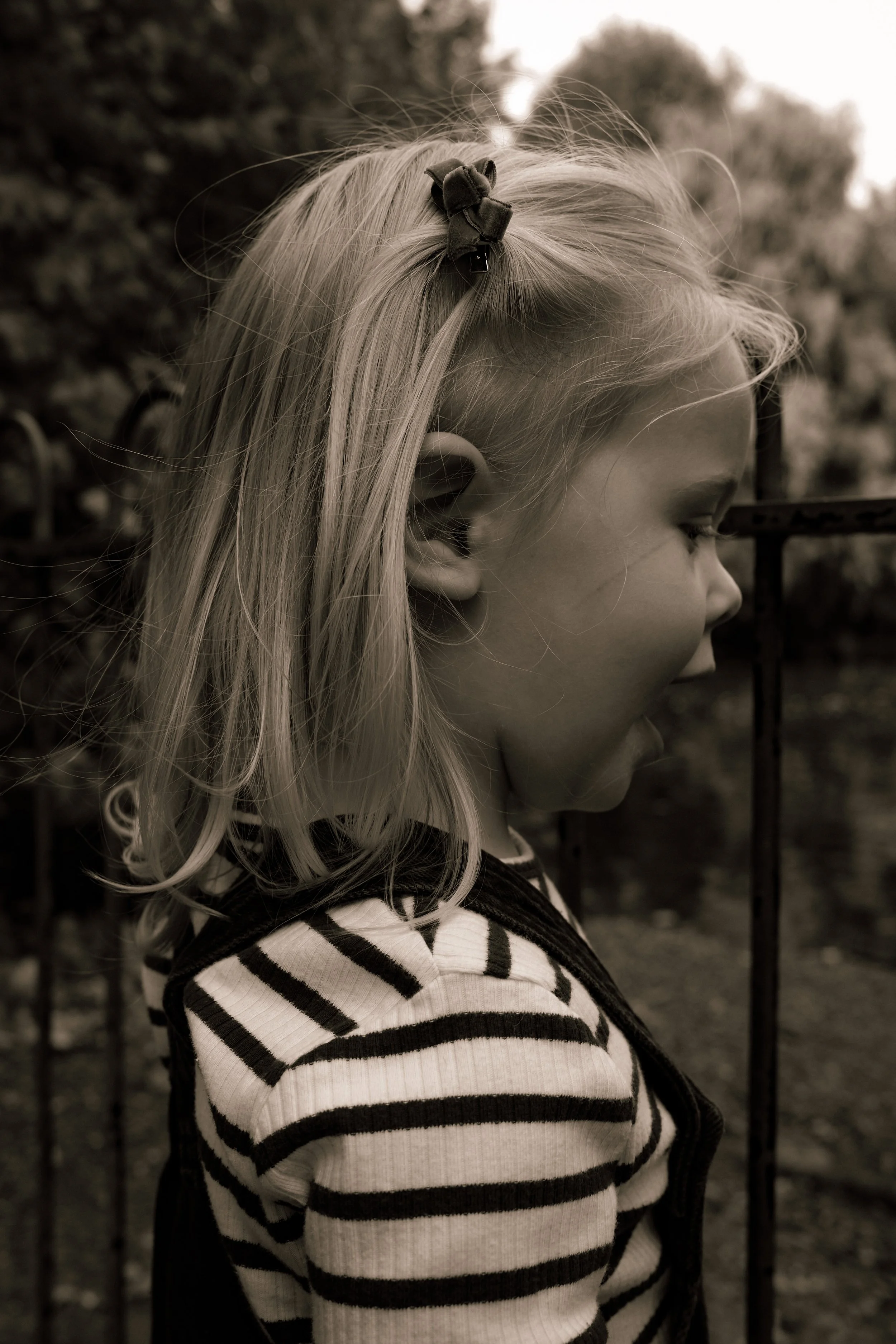 Georgie 2-025.jpg