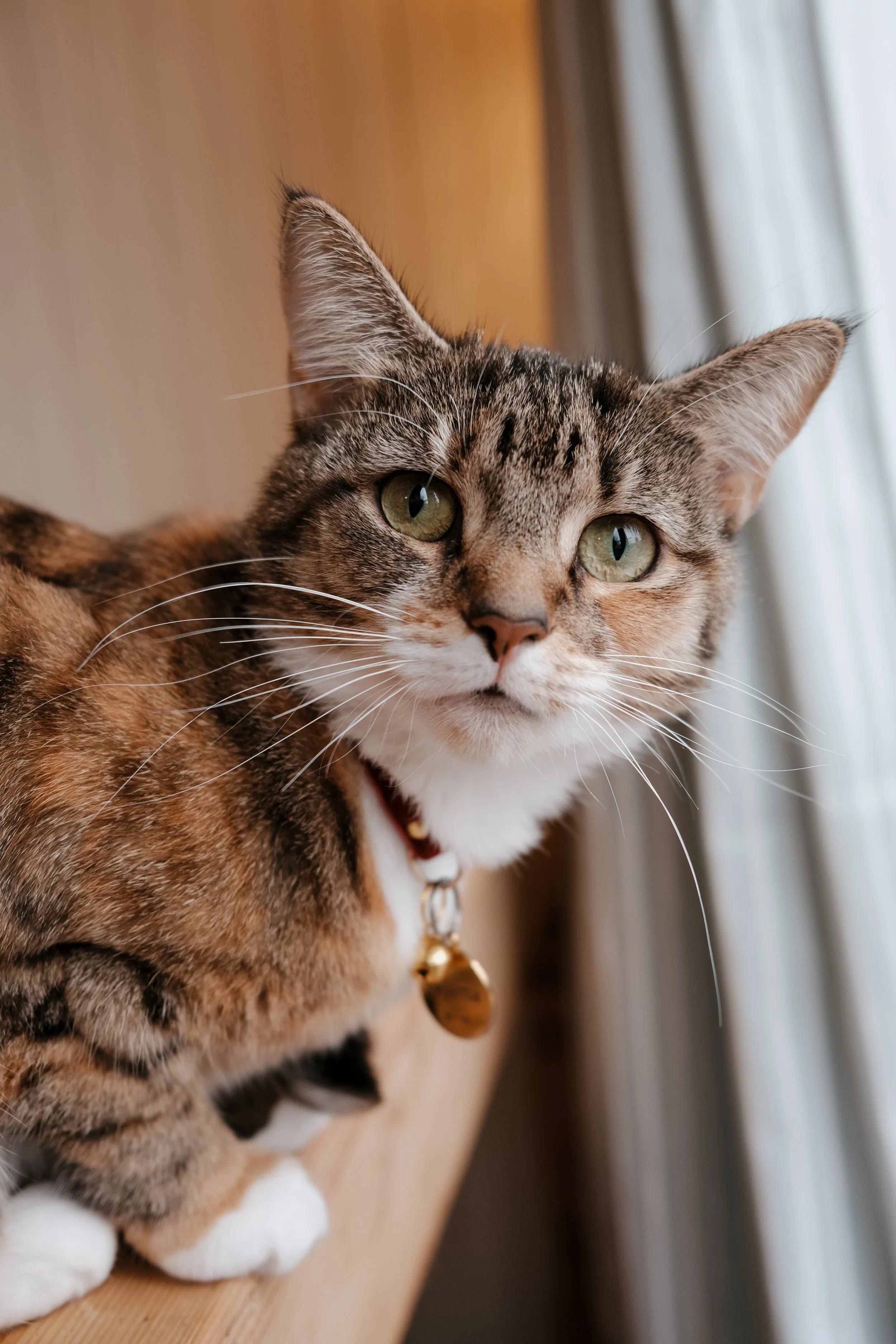 Molly-109.jpg