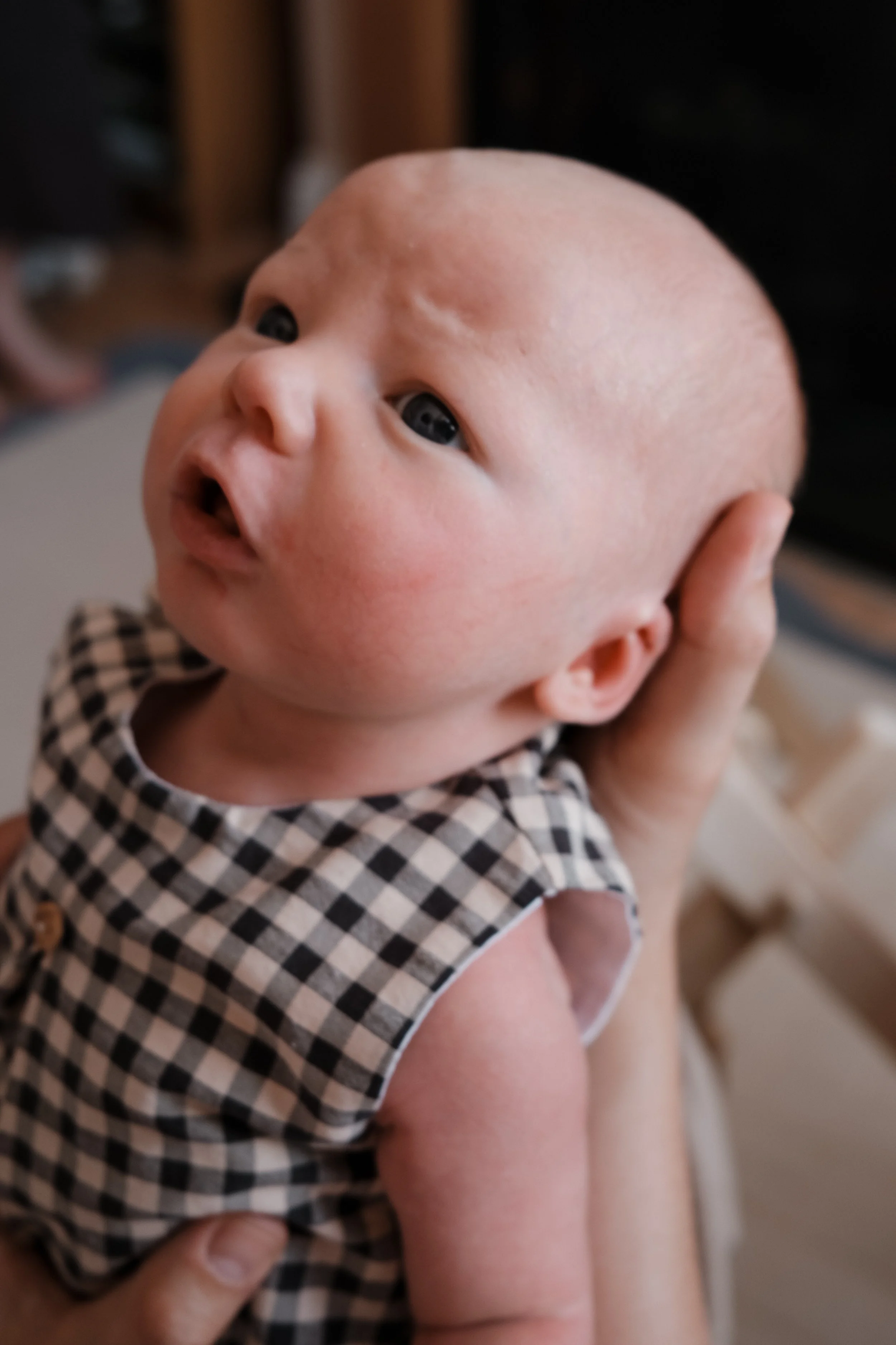 Osian-81.jpg